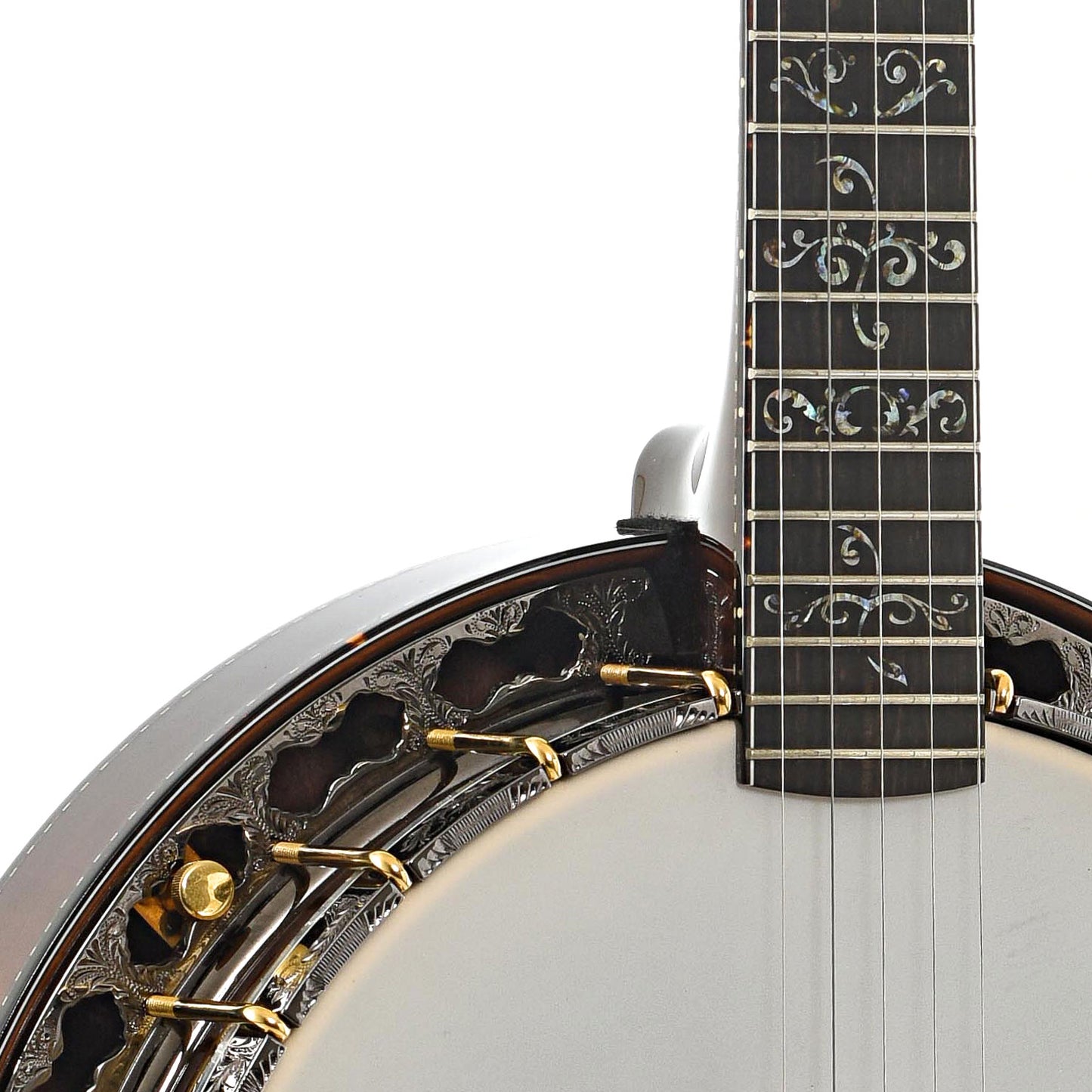 Front neck and body join of Prucha Spirit 24 Custom Presentation Resonator Banjo (2014)