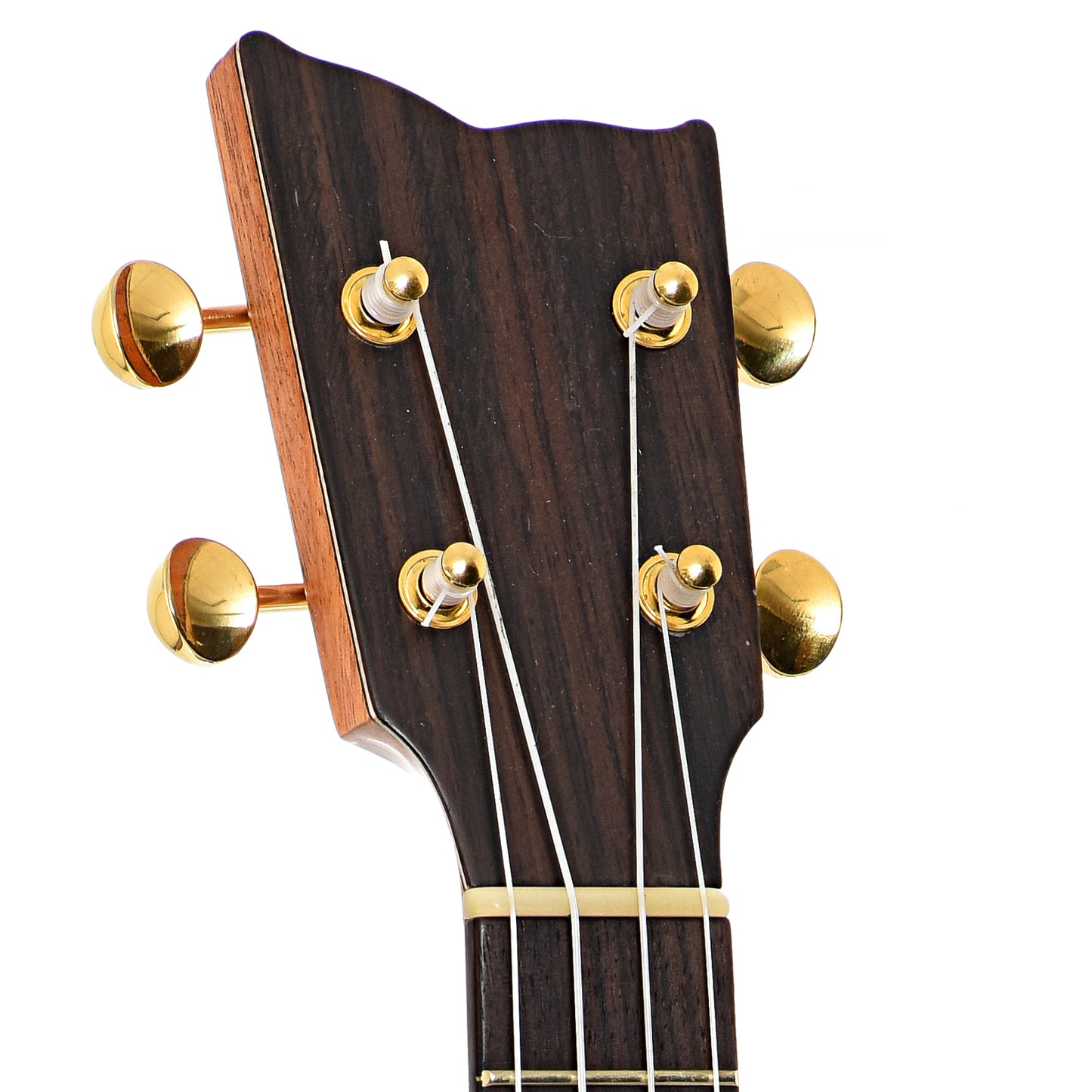 Headstock of Kremona Coco Concert Ukulele 