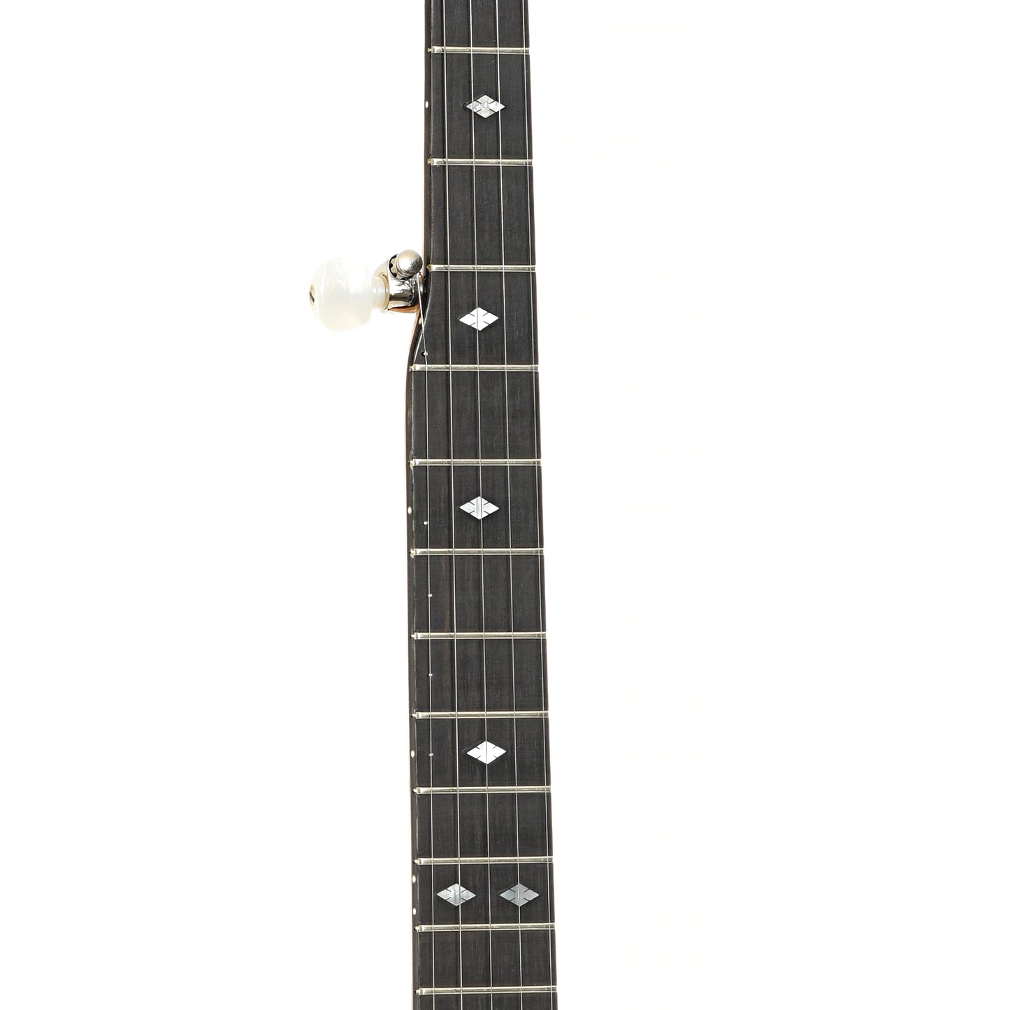 Fretboard of Deering Crossfire Electric Banjo (mid-1990's)