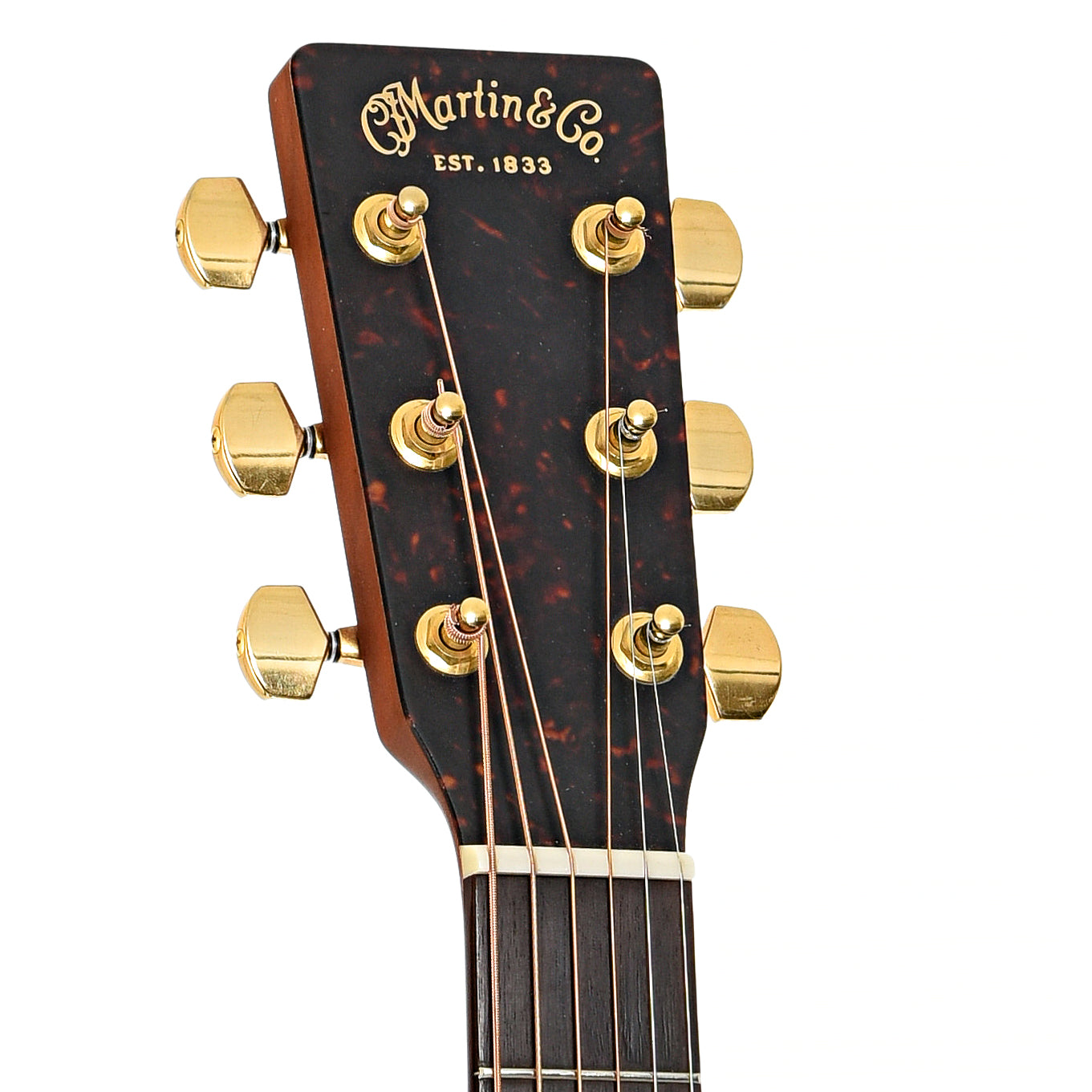 Headstock of Martin SWD Acoustic Guitar