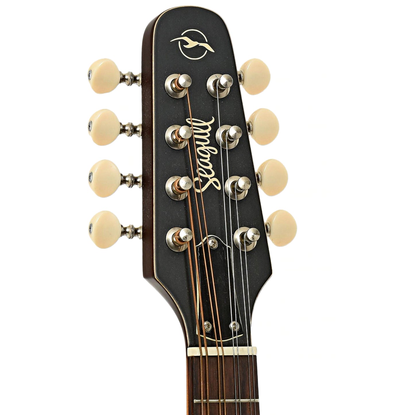 Headstock of Seagull S8 Mandolin