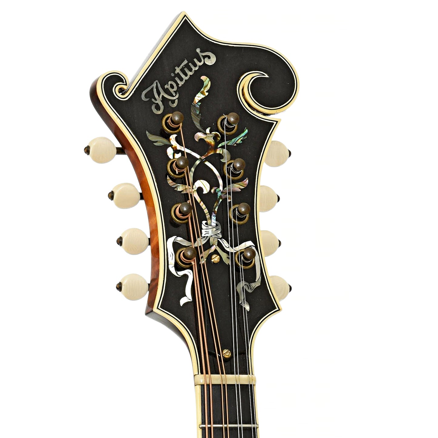 Headstock of Apitius F5 Classic Mandolin 