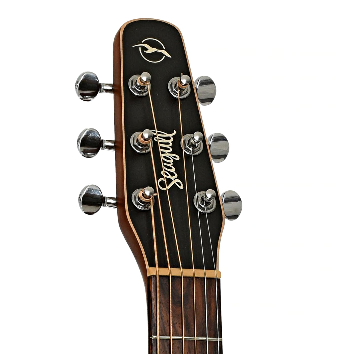 Headstock of Seagull Entourage Rustic CH CW QIT Acoustic Guitar