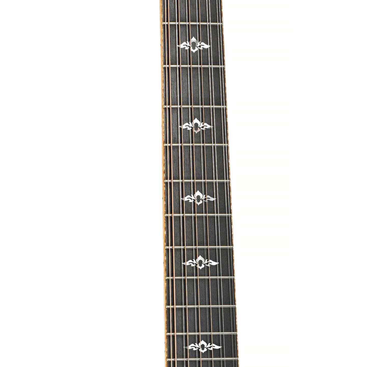 Fretboard of Taylor 856ce 12-String Acoustic Guitar (2010)