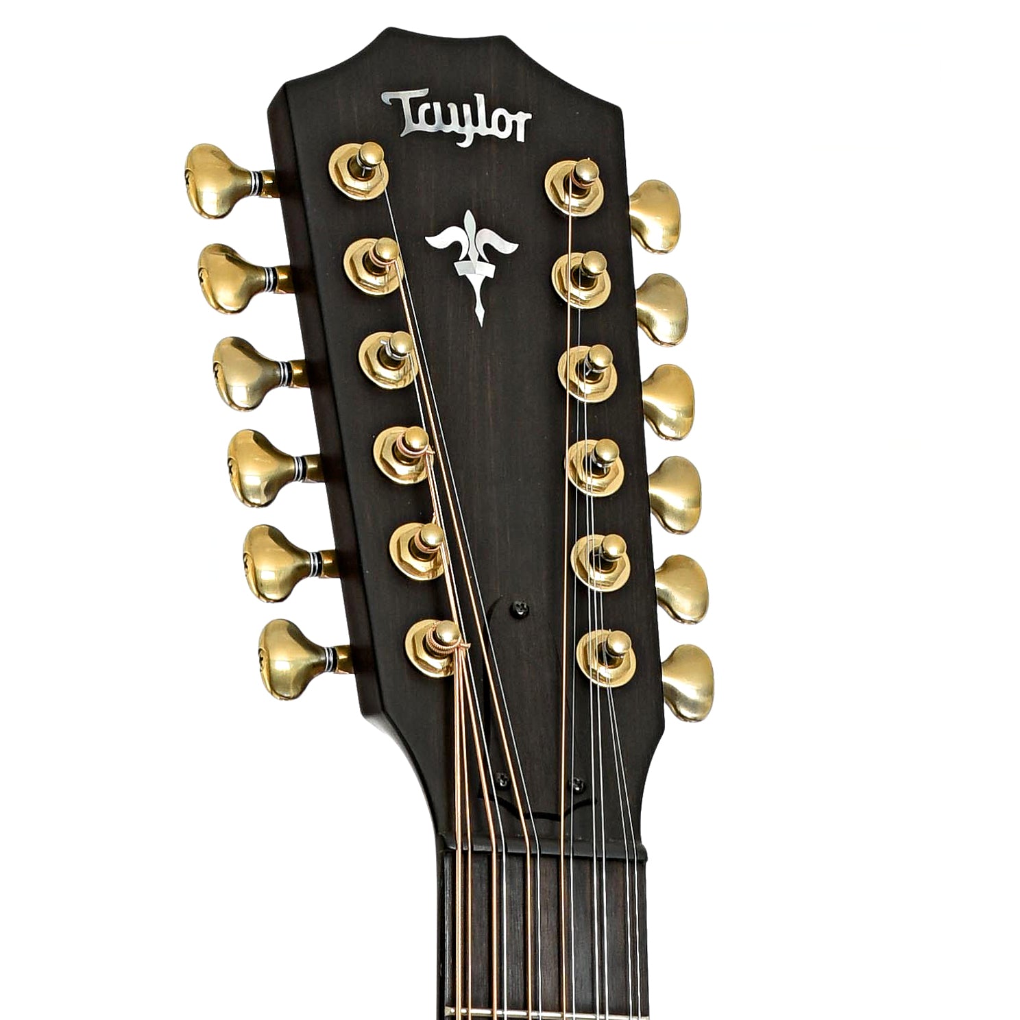 Headstock of Taylor 652CE 12 12-String Acoustic-Electric Guitar 