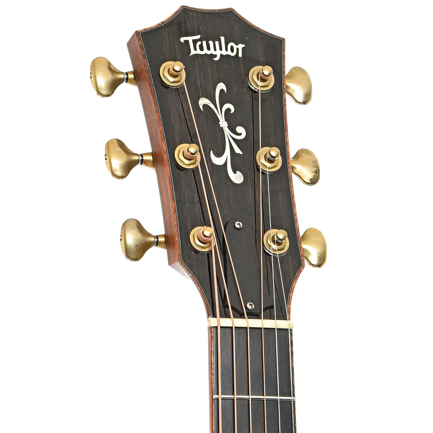 Front headstock of Taylor Cocobolo GA Acoustic-Electric Guitar (2008)