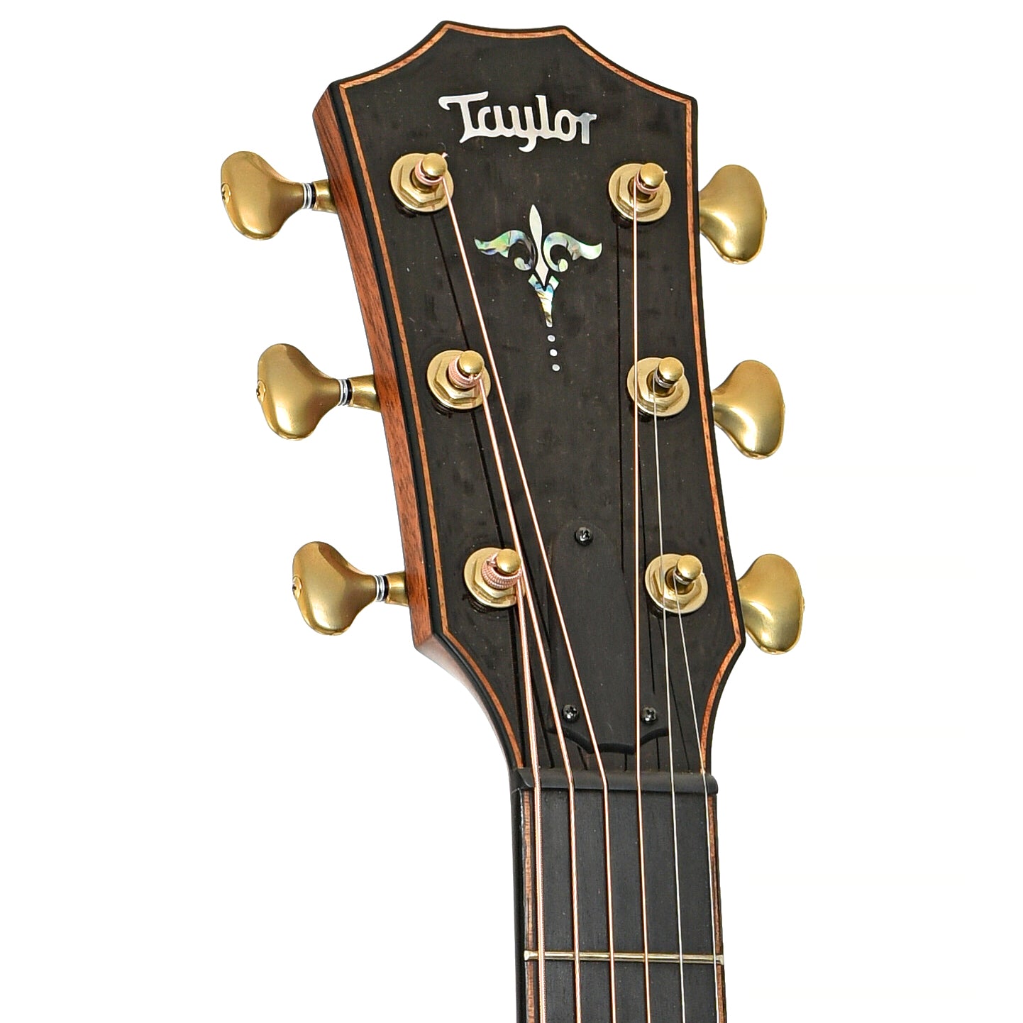 front headstock of Taylor 912ce-SB Acoustic-Electric Guitar (2022)