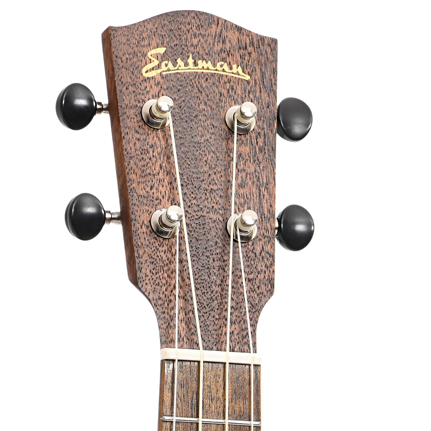 Headstock of Eastman EU2-C Concert Ukulele & Gigbag