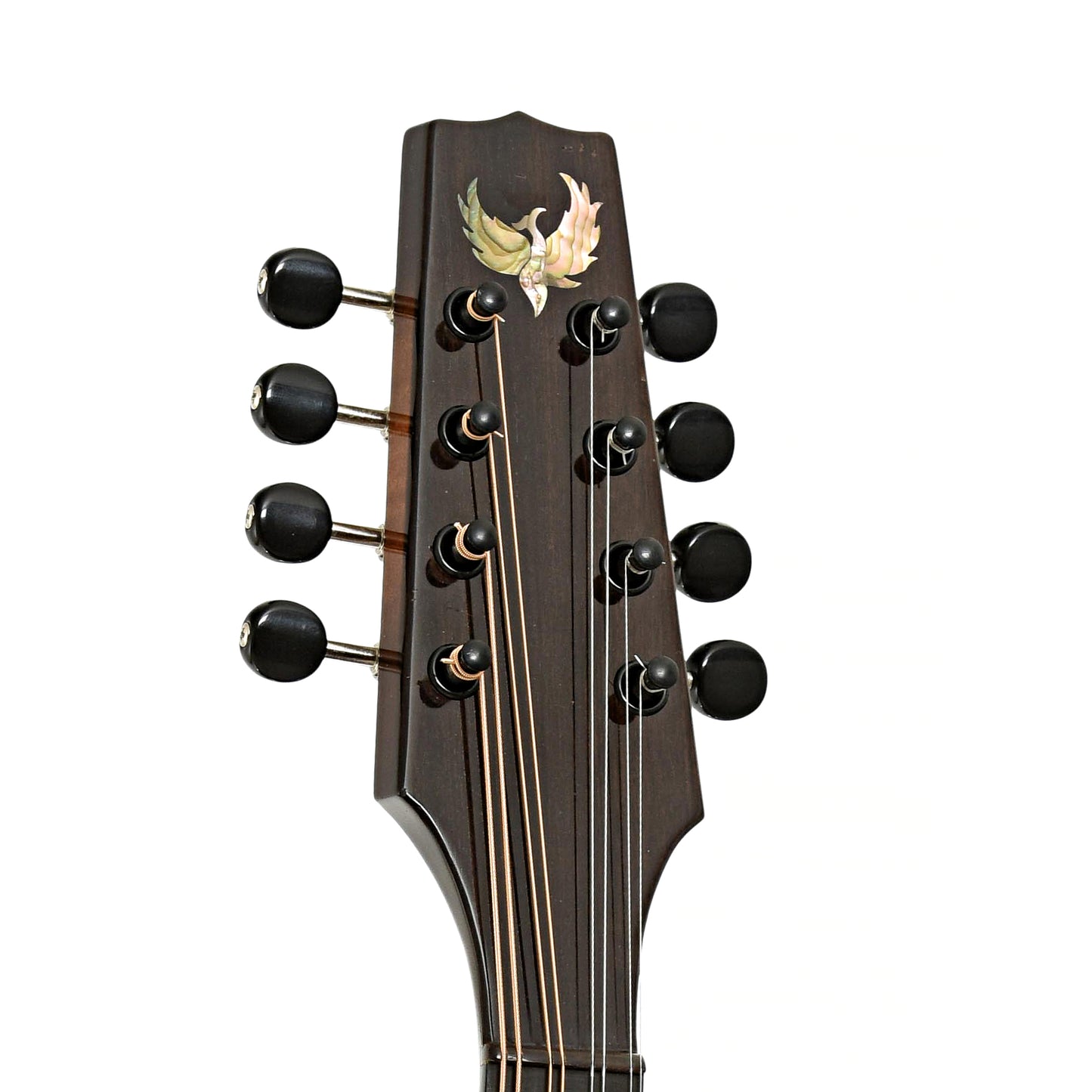 Headstock of Phoenix Europa III Mandolin 