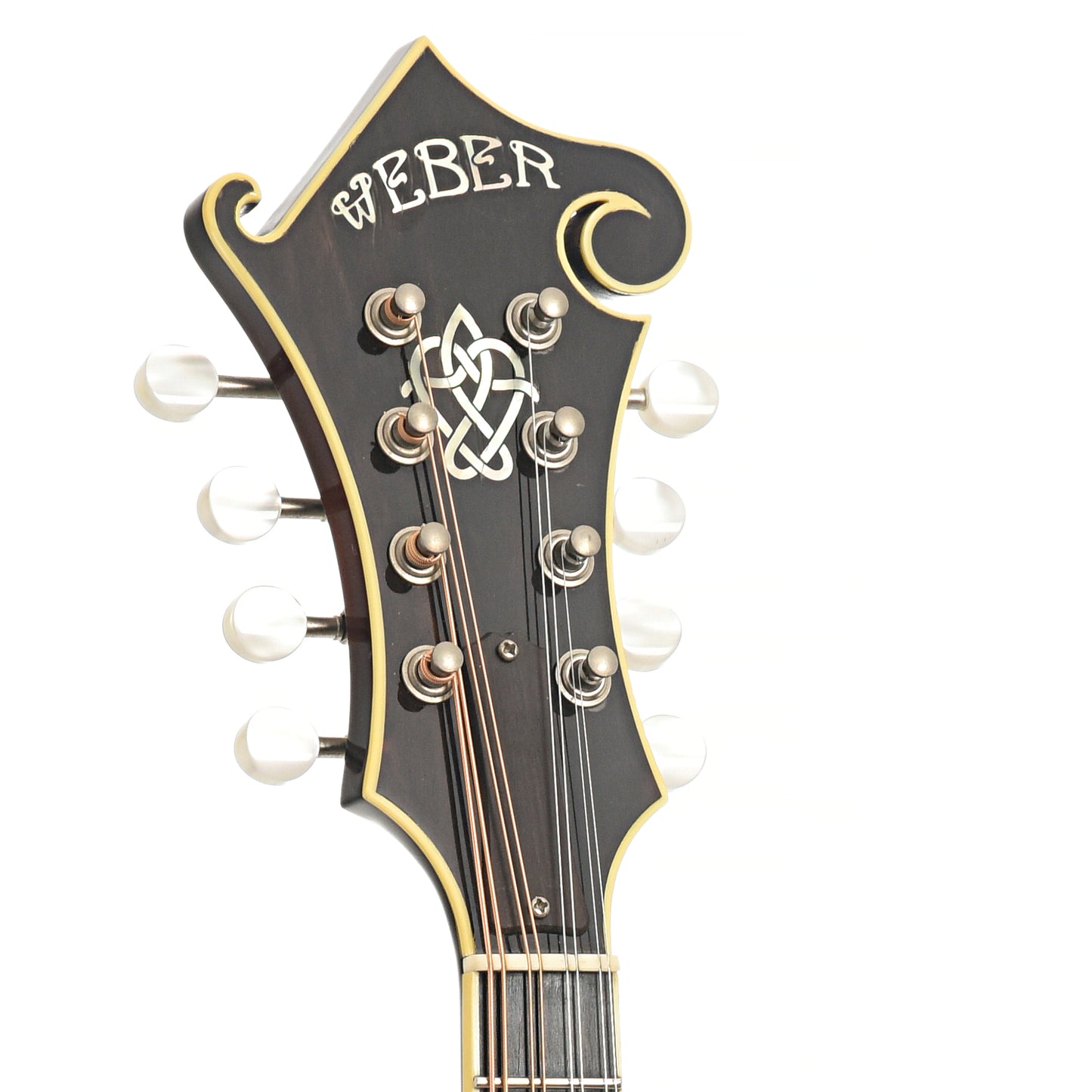 Headstock of Weber Yellowstone F Mandolin