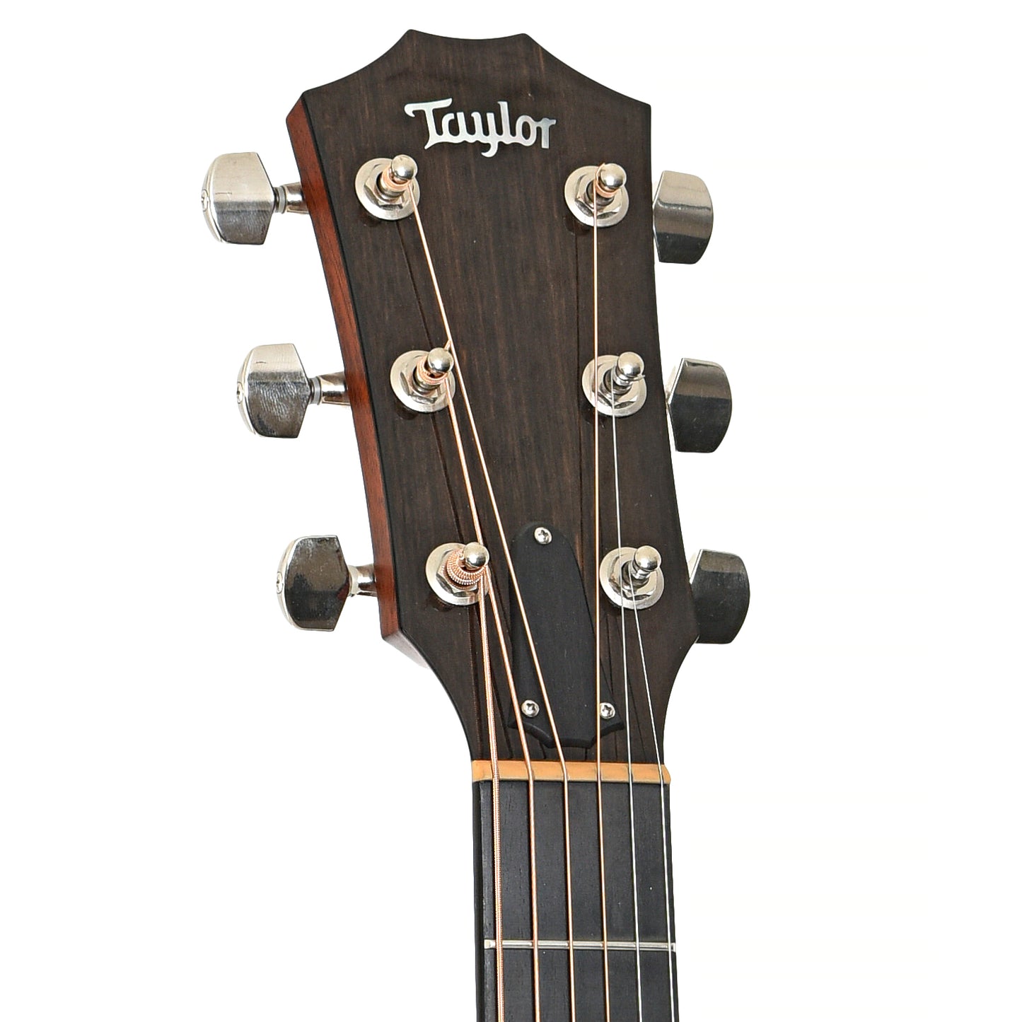 Front headstock of Taylor 714ce Acoustic Guitar (2016)