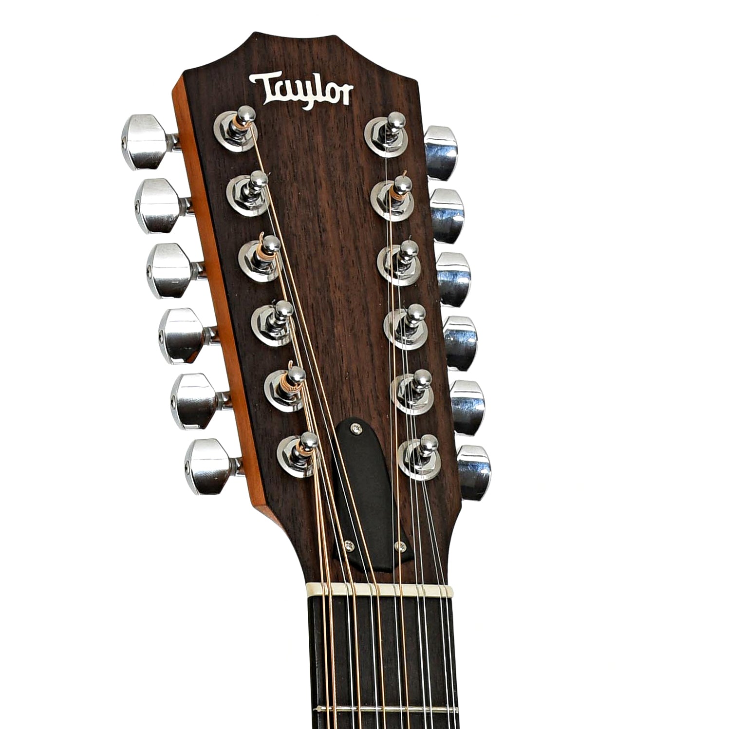 Headstock of Taylor 150e 12-String Guitar 