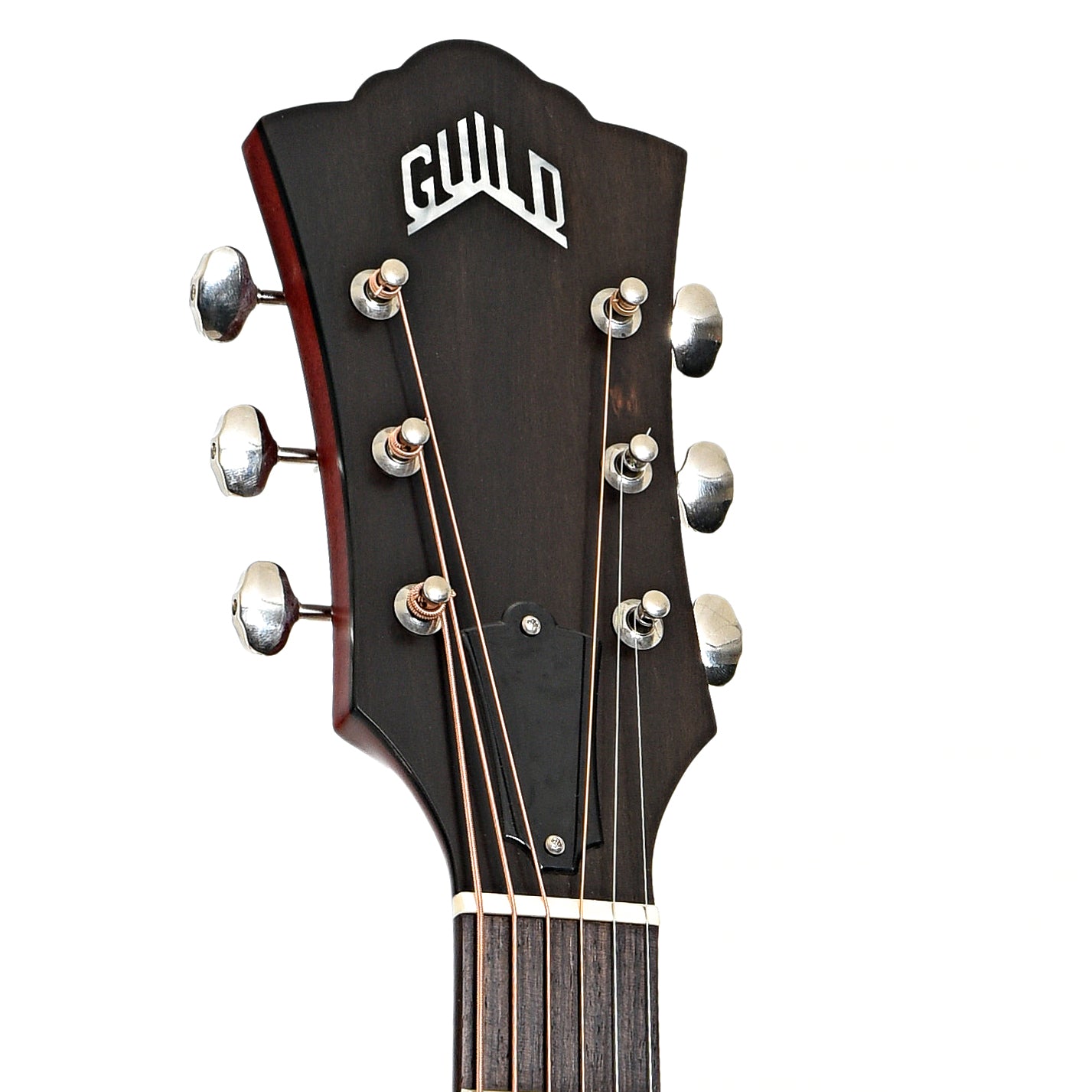 Headstock of Guild D-50 Standard Dreadnought Acoustic Guitar