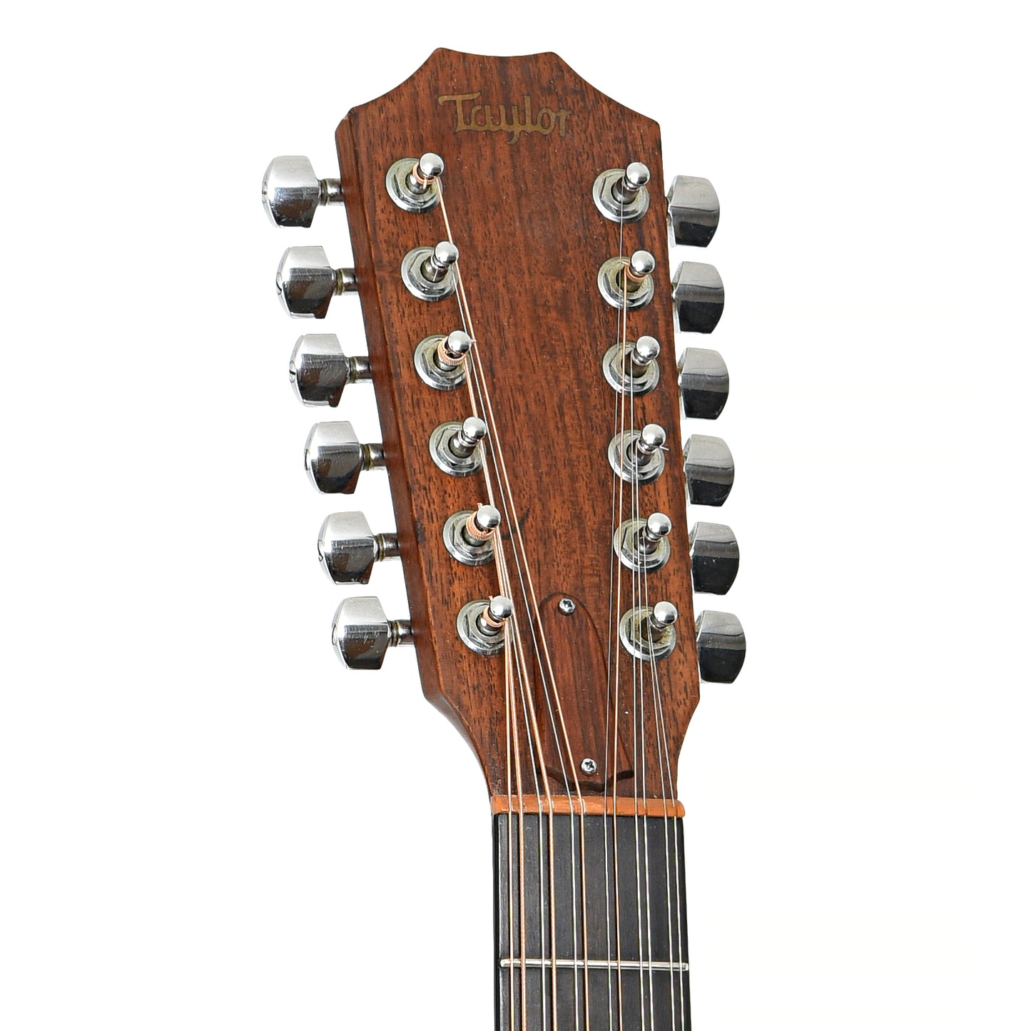 Front headstock of Taylor 555 12-String Acoustic Guitar (1990)