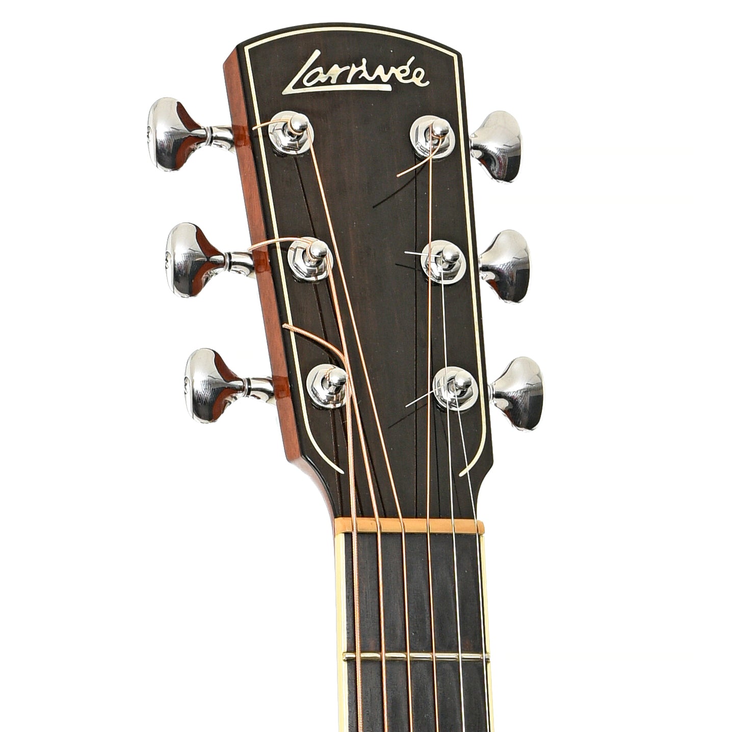 front headstock of Larrivee OMV-05 Acoustic Guitar (2001)