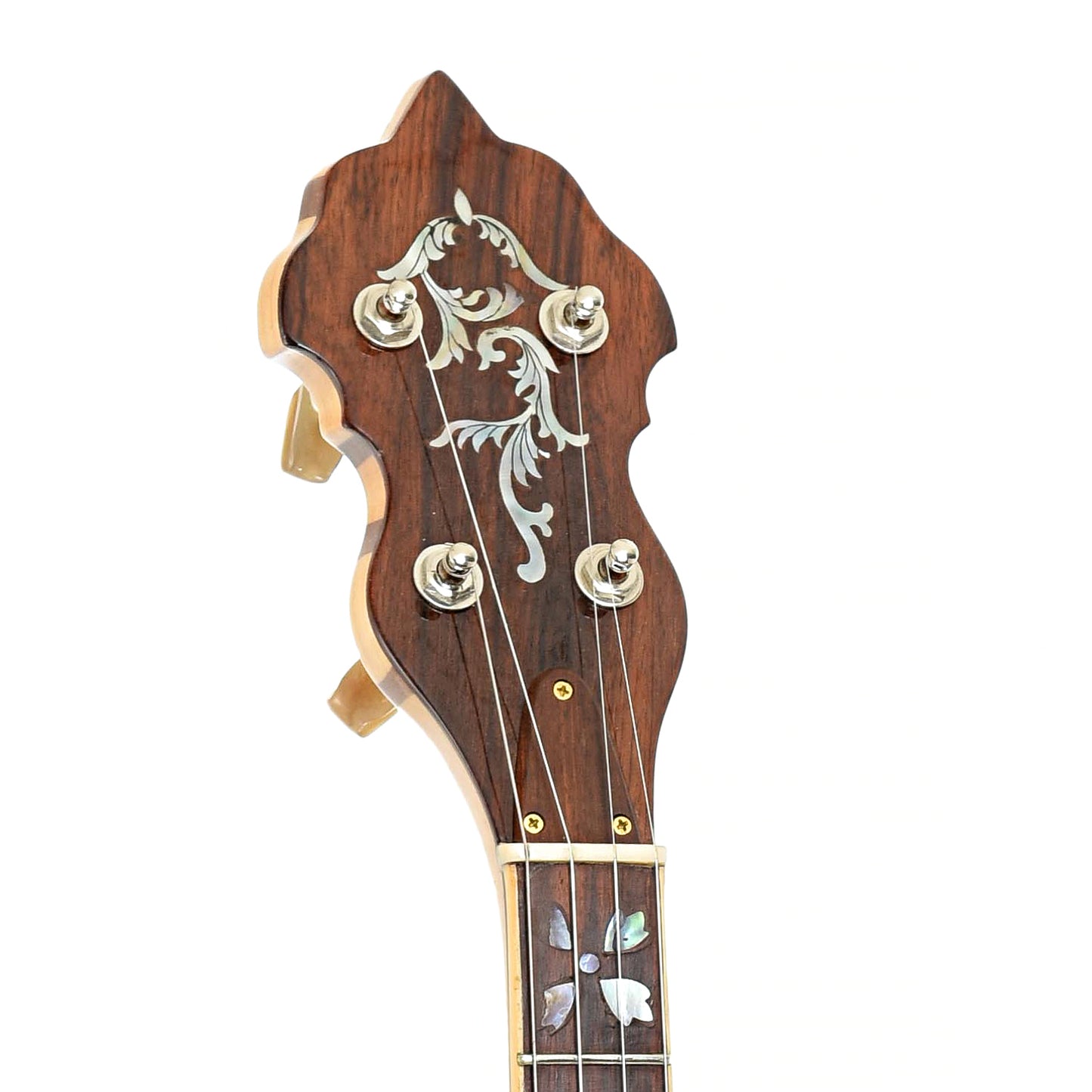 Headstock of McConnell Plectocaster Electric Plectrum Banjo