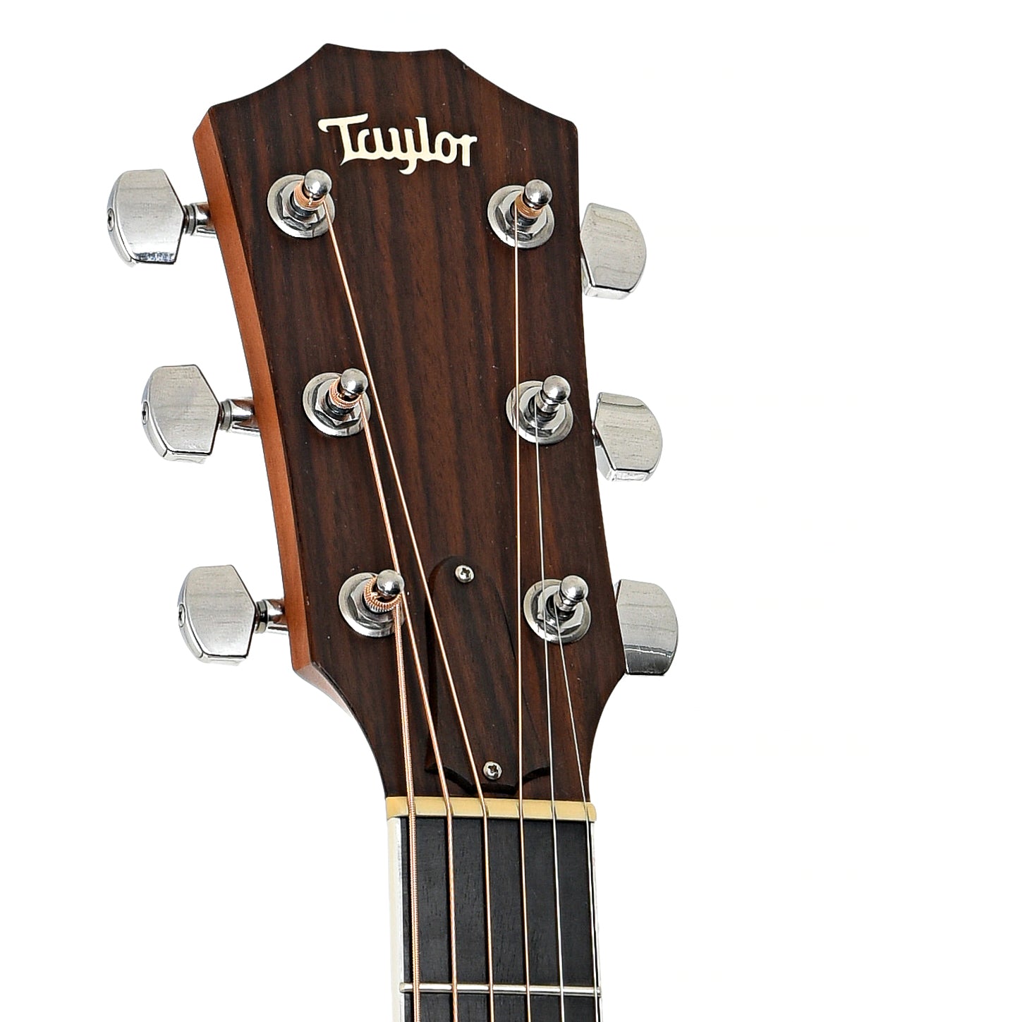 Headstock of Taylor 410ce Acoustic-Electric Guitar 