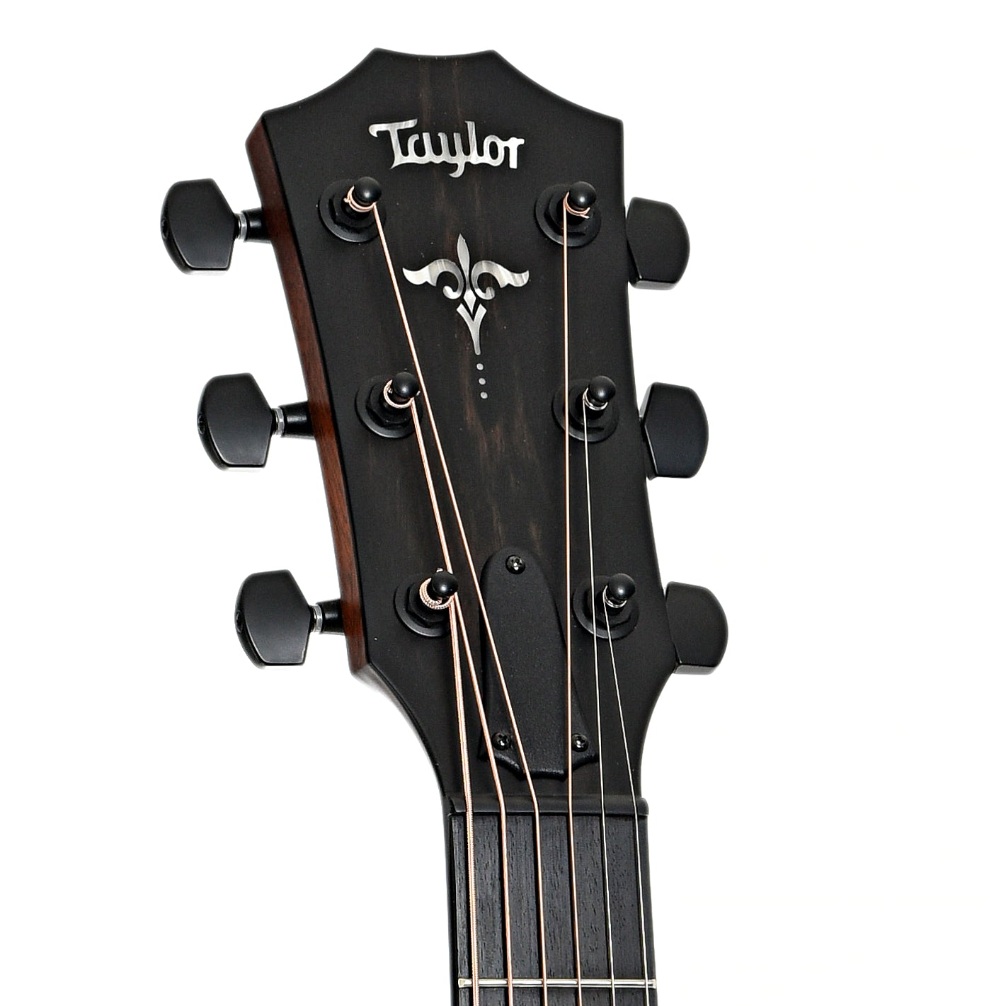 headstock of Taylor 314ce Koa LTD Acoustic- Electric Guitar 