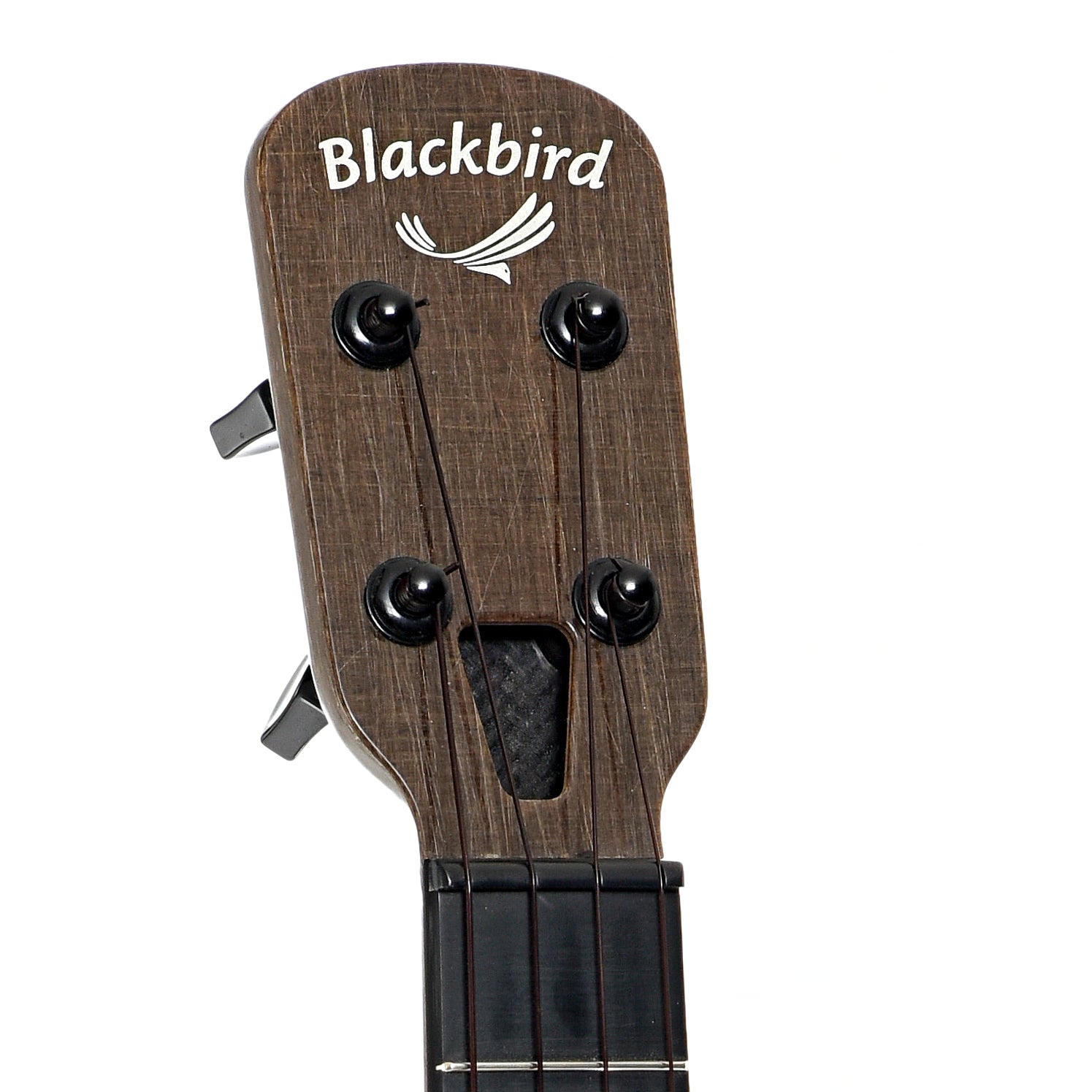 Headstock of Blackbird Farralon Ekoa Tenor Ukulele 