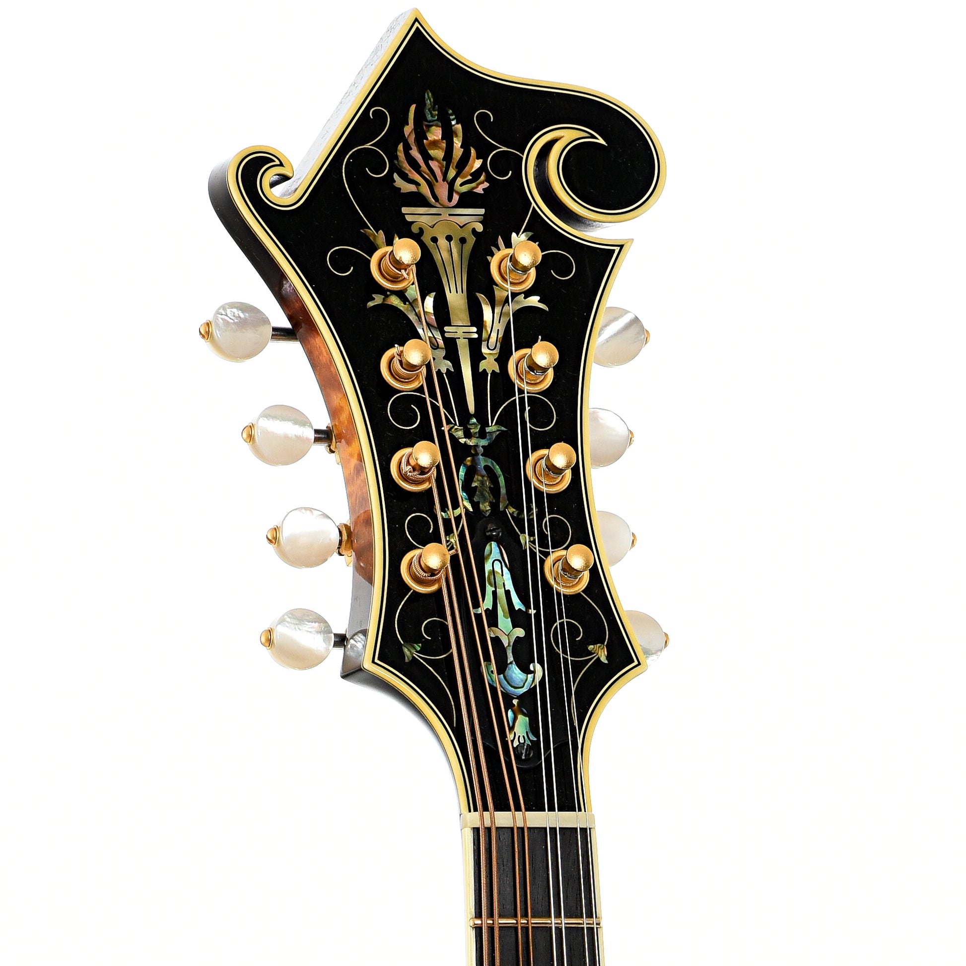 Front headstock of Ellis F-5 Reserve Mandolin (2016)