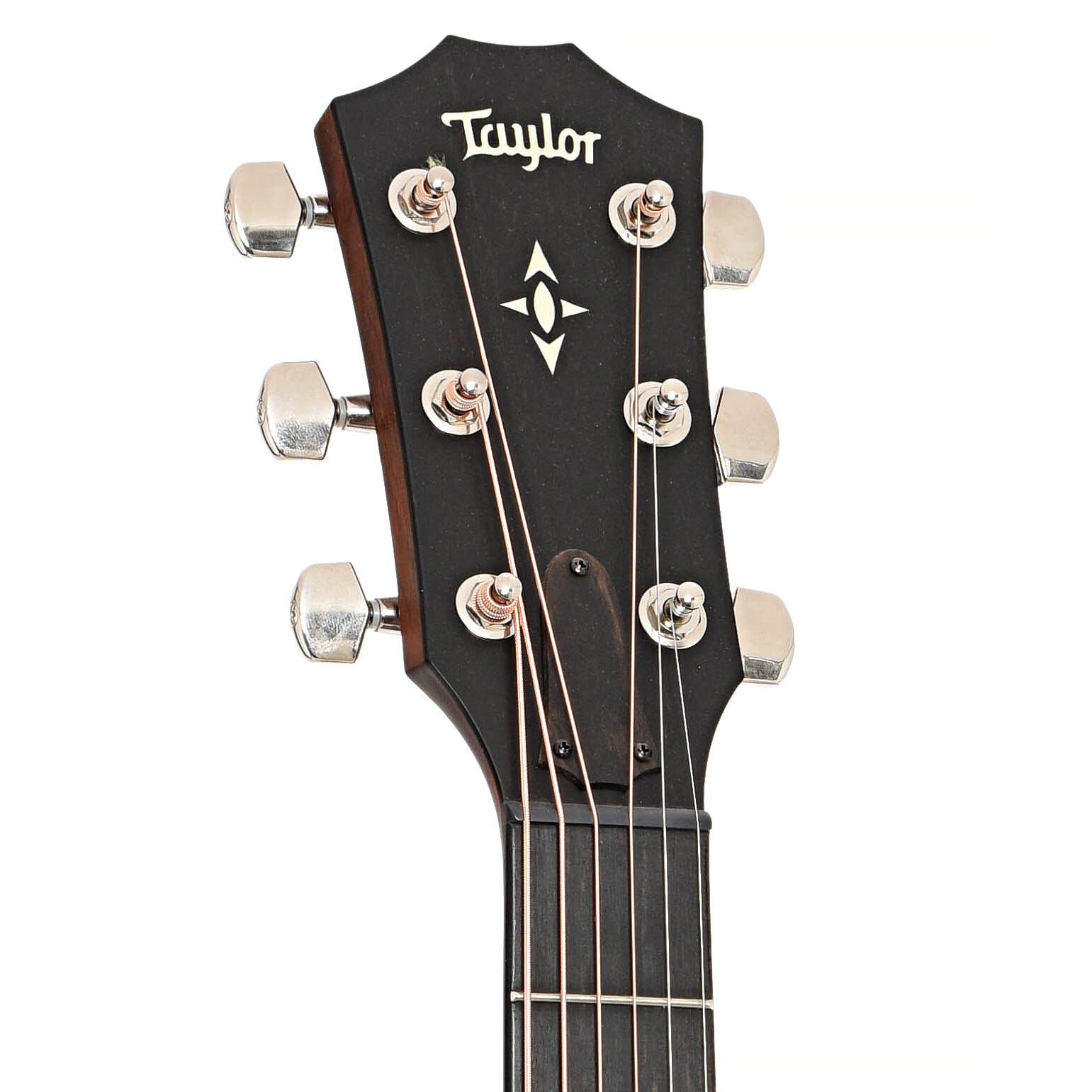 Front headstock of Taylor Builder's Edition 517e Acoustic Guitar