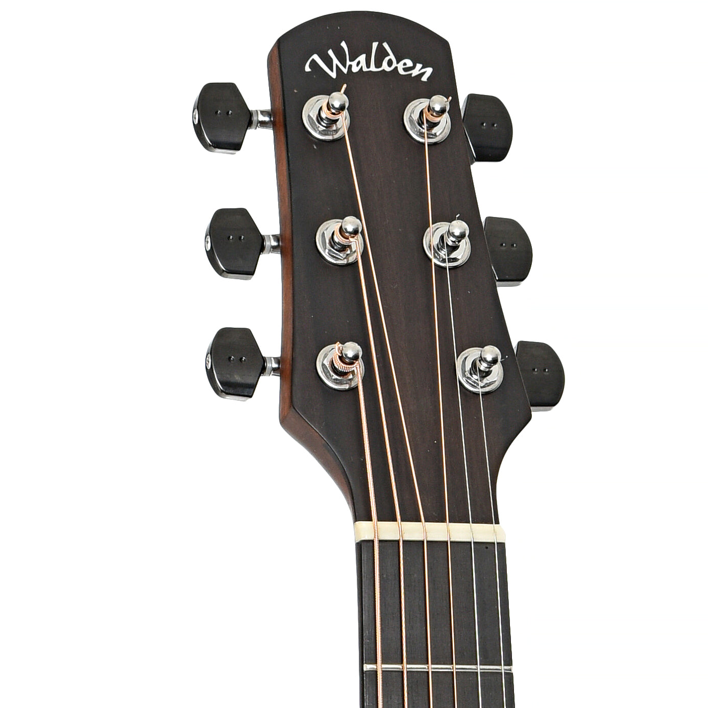 Front headstock of Walden R3030RCE Acoustic-Electric Guitar (c.2021)