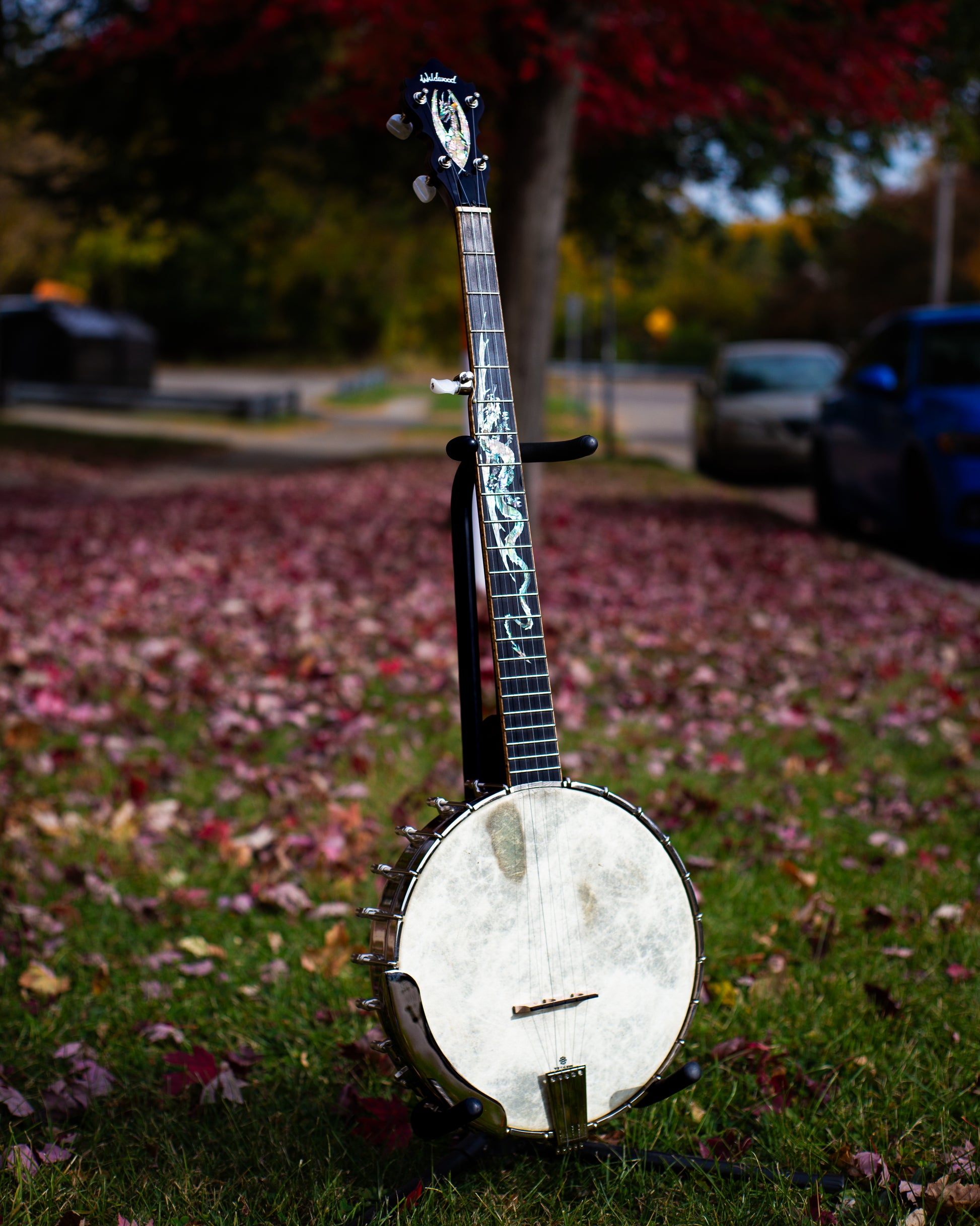 Showroom photo of Full front and side of Wildwood Custom Dragon Tubaphone Banjo