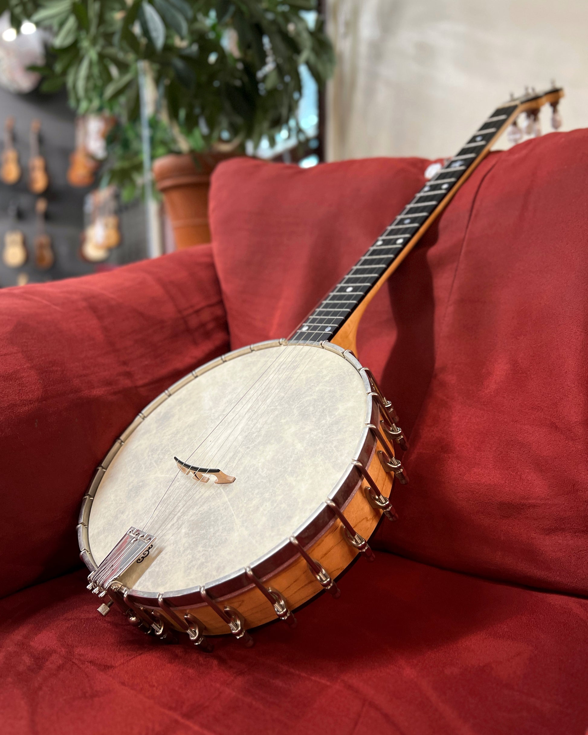 showroom photo of Front and side of Bart Reiter Special Open Back Banjo (1996)