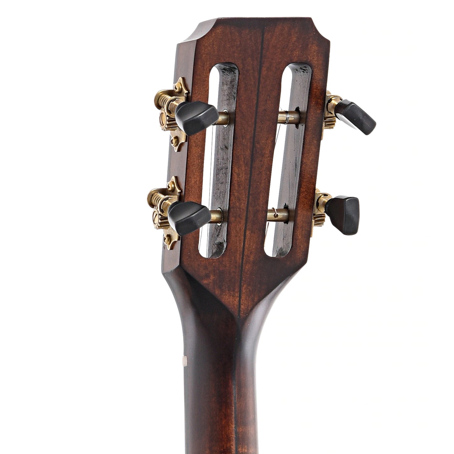 Back headstock of Pisgah Banjo Co. 12" Dobson Professional, Short scale