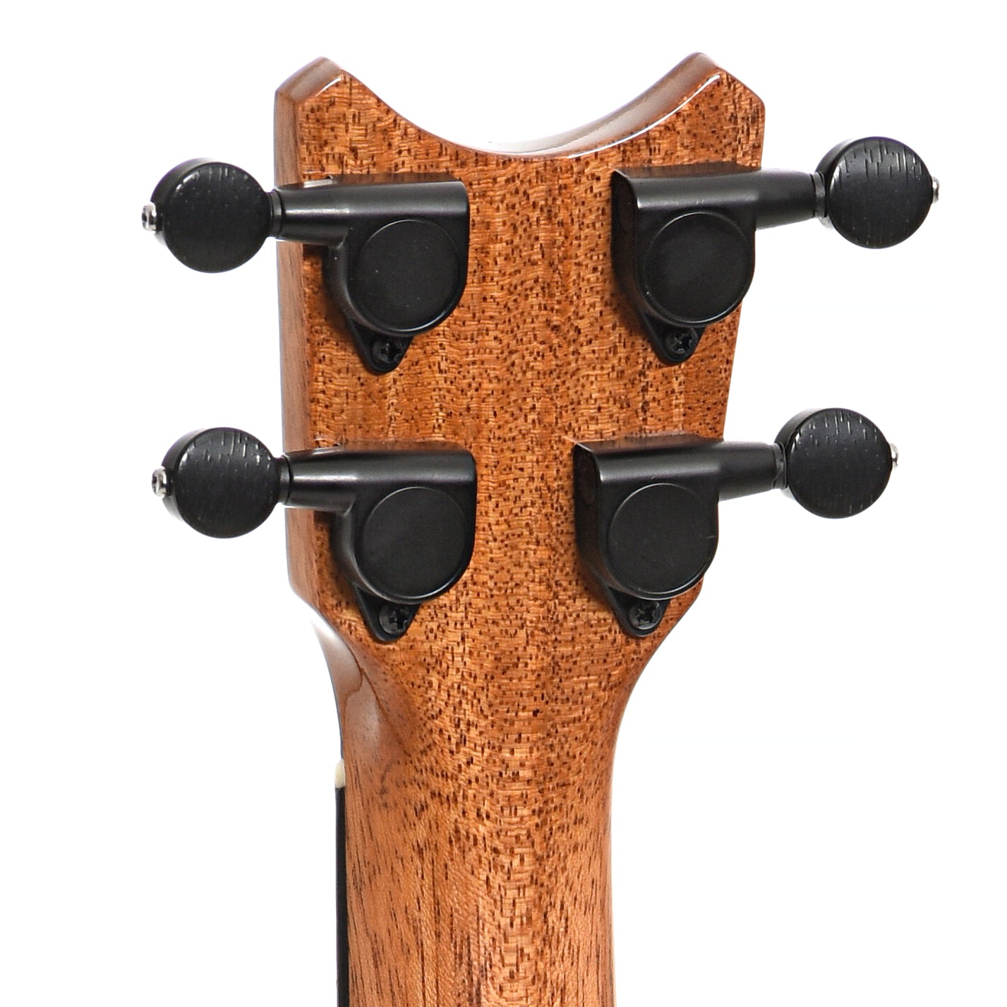 Back headstock of Romero Creations Tiny Tenor Ukulele, Spalted Mango (2021)