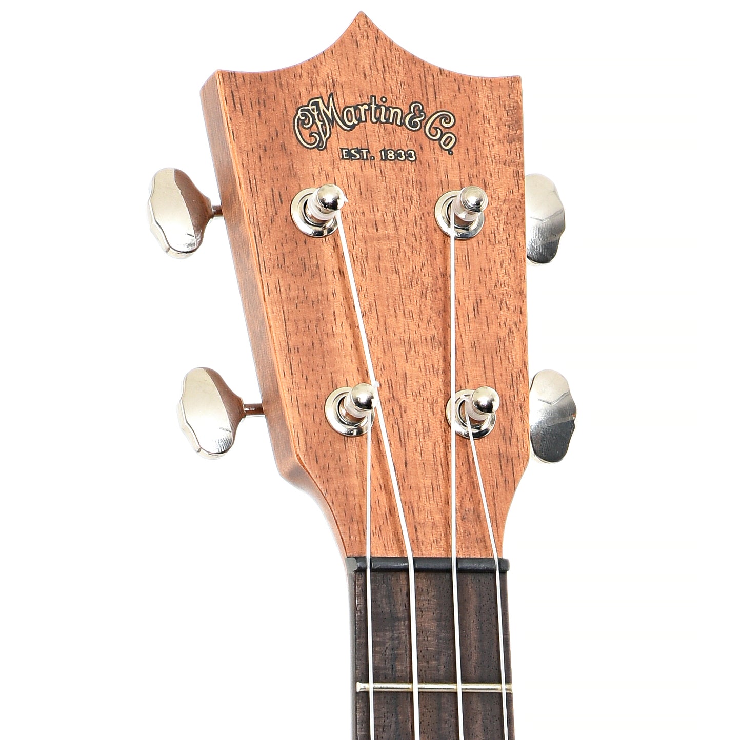 Front headstock of Martin 2K Tenor Ukulele (2011)