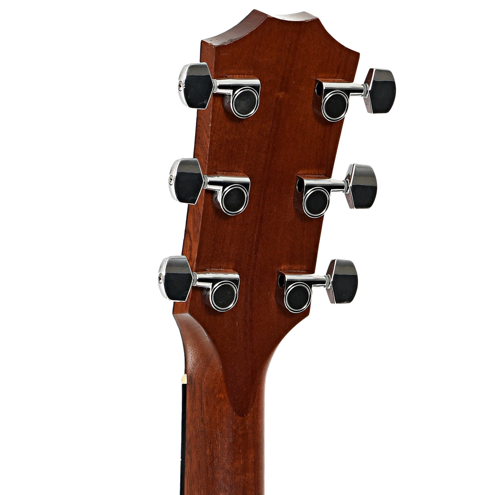 Back headstock of Taylor 214ce Walnut Acoustic-Electric Guitar (2015)