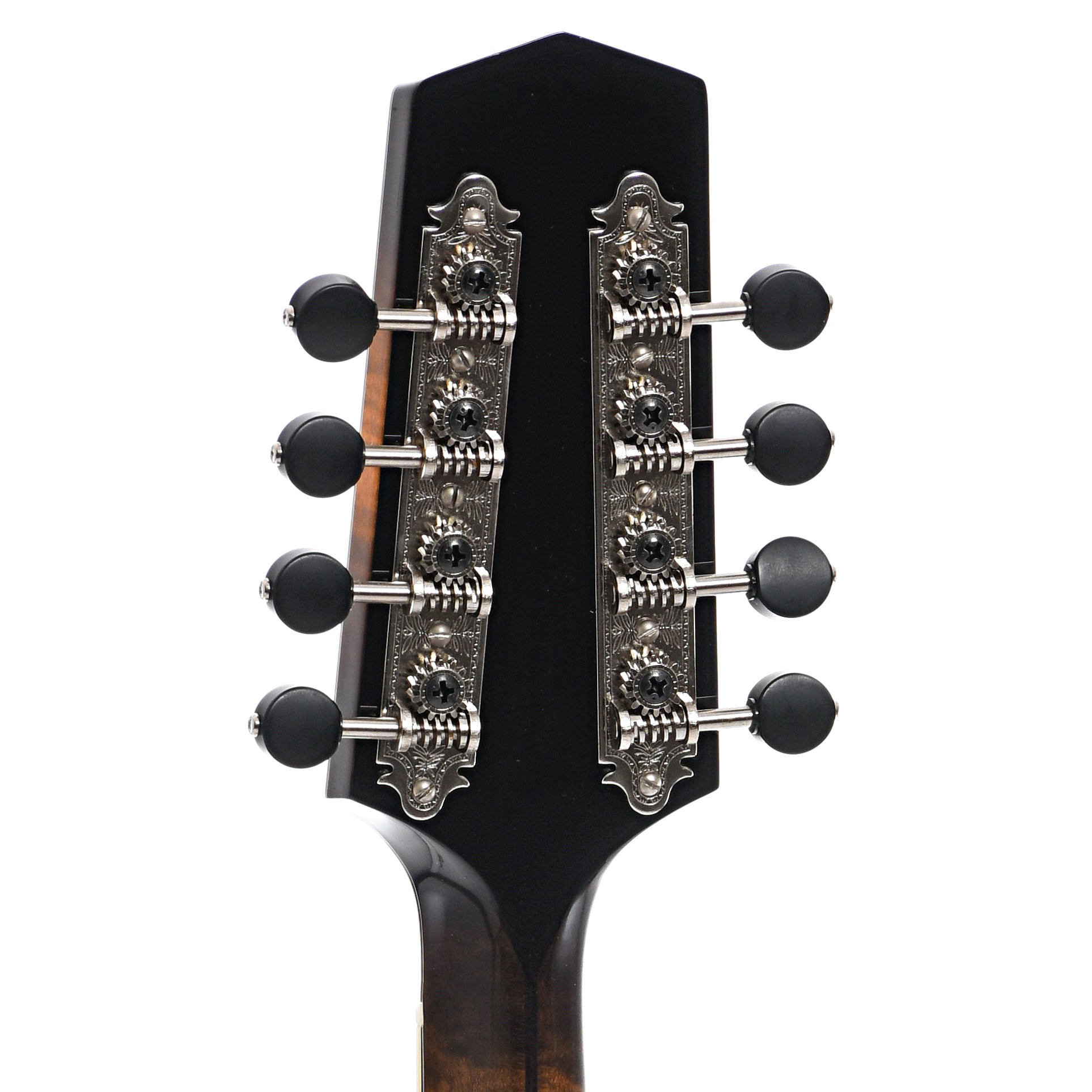 Back headstock of Northfield Workshop NFMSP-A5 A5 Special Mandolin