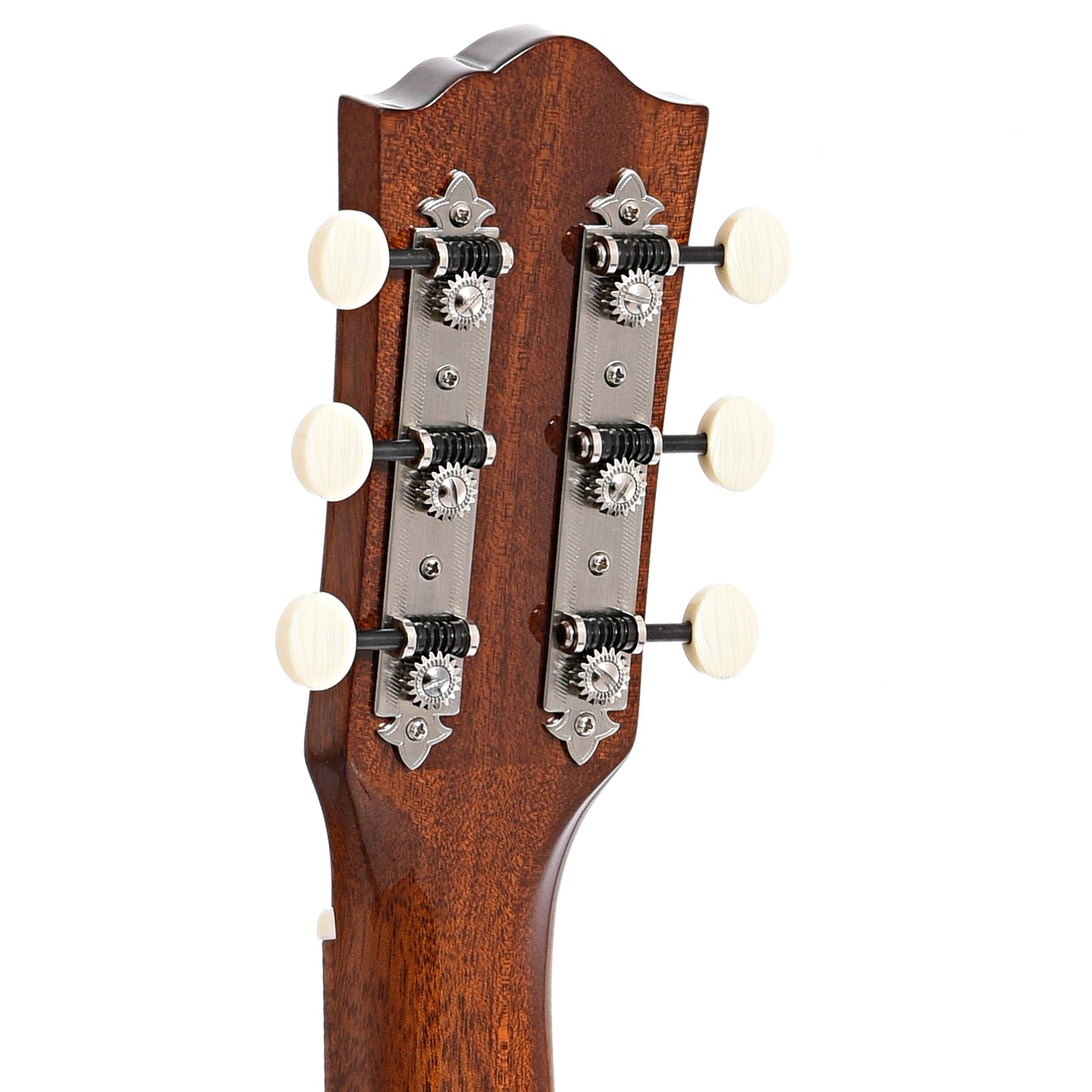 Back headstock of Farida OT-22W Acoustic Guitar (2020)