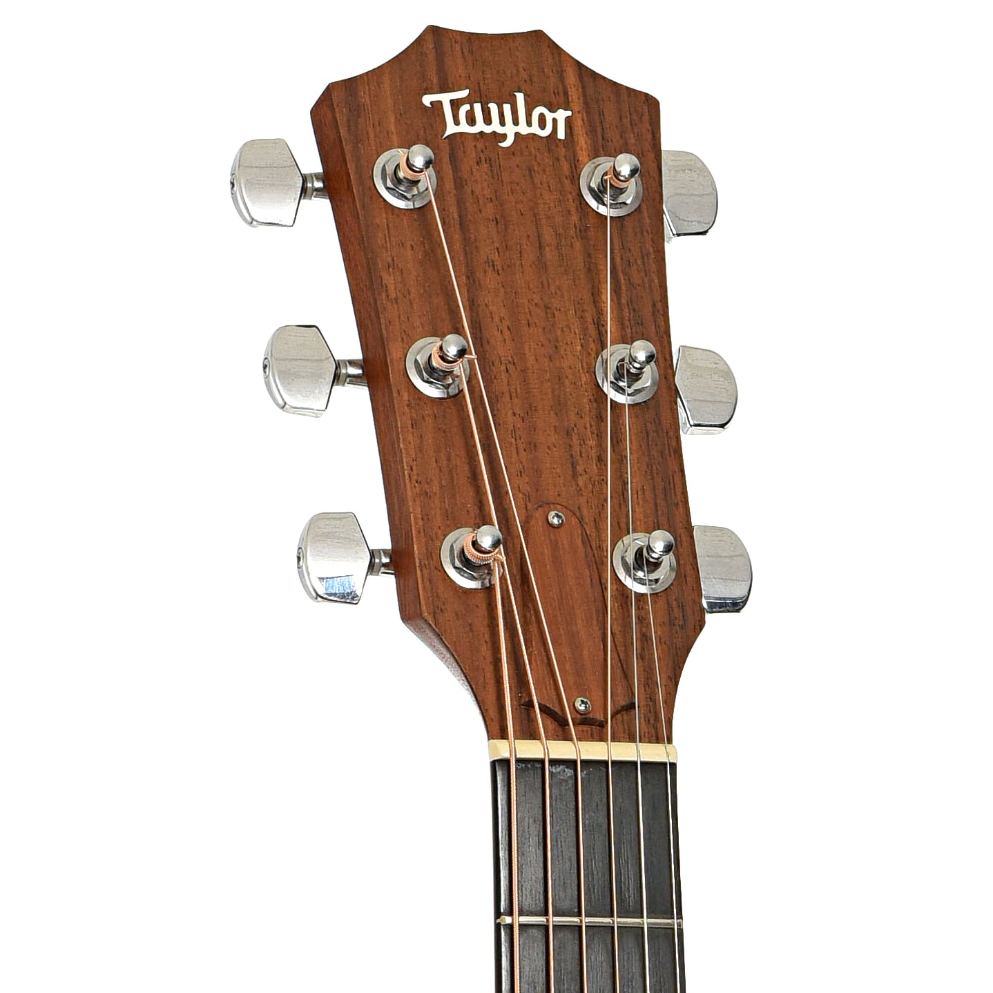 Front headstock of Taylor 210e Acoustic-Electric Guitar (2009)