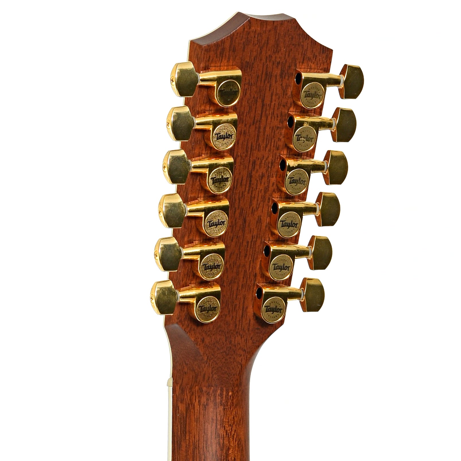 BAck headstock of Taylor 855 12-String Acoustic Guitar (2003)