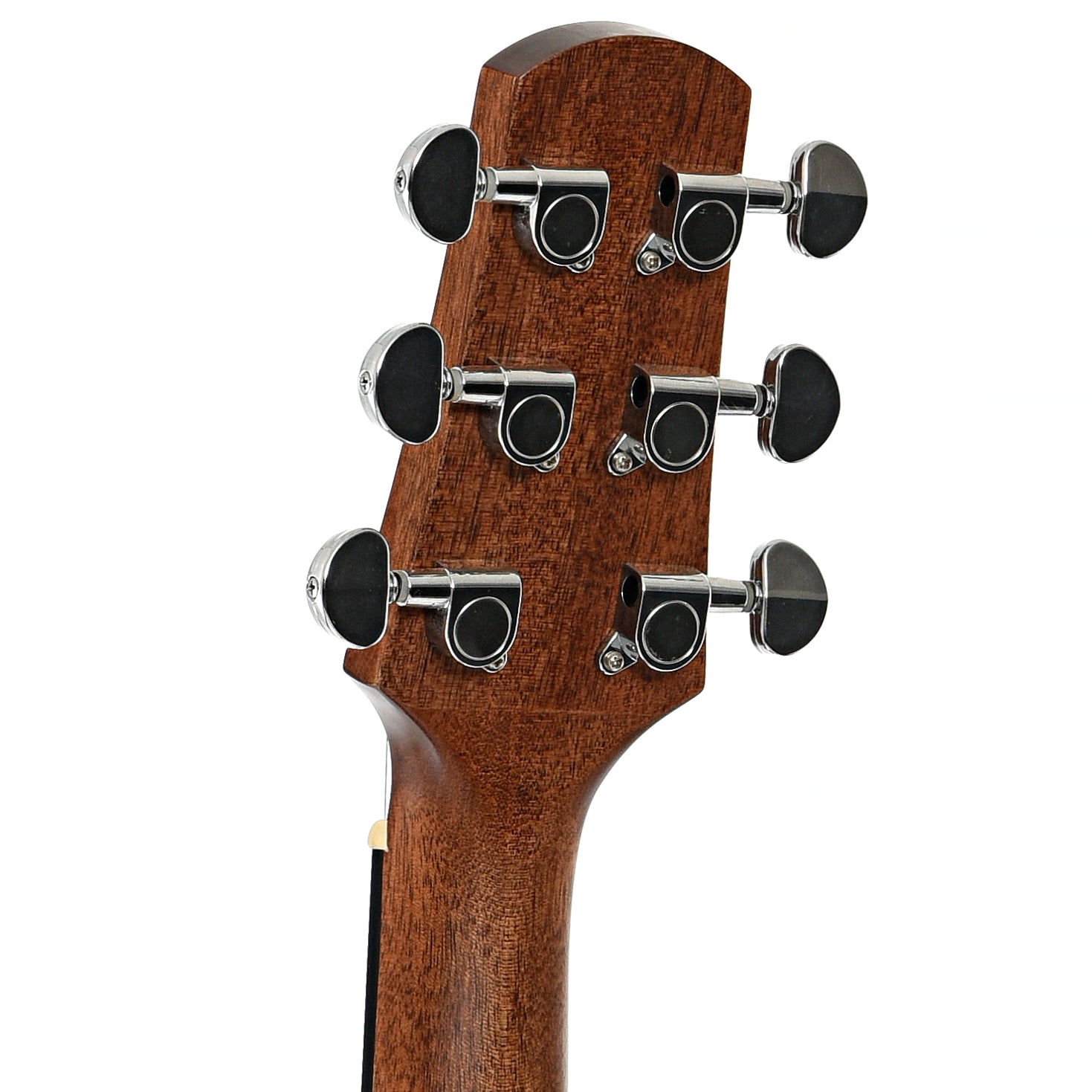 Back headstock of Walden 0550E Acoustic Guitar