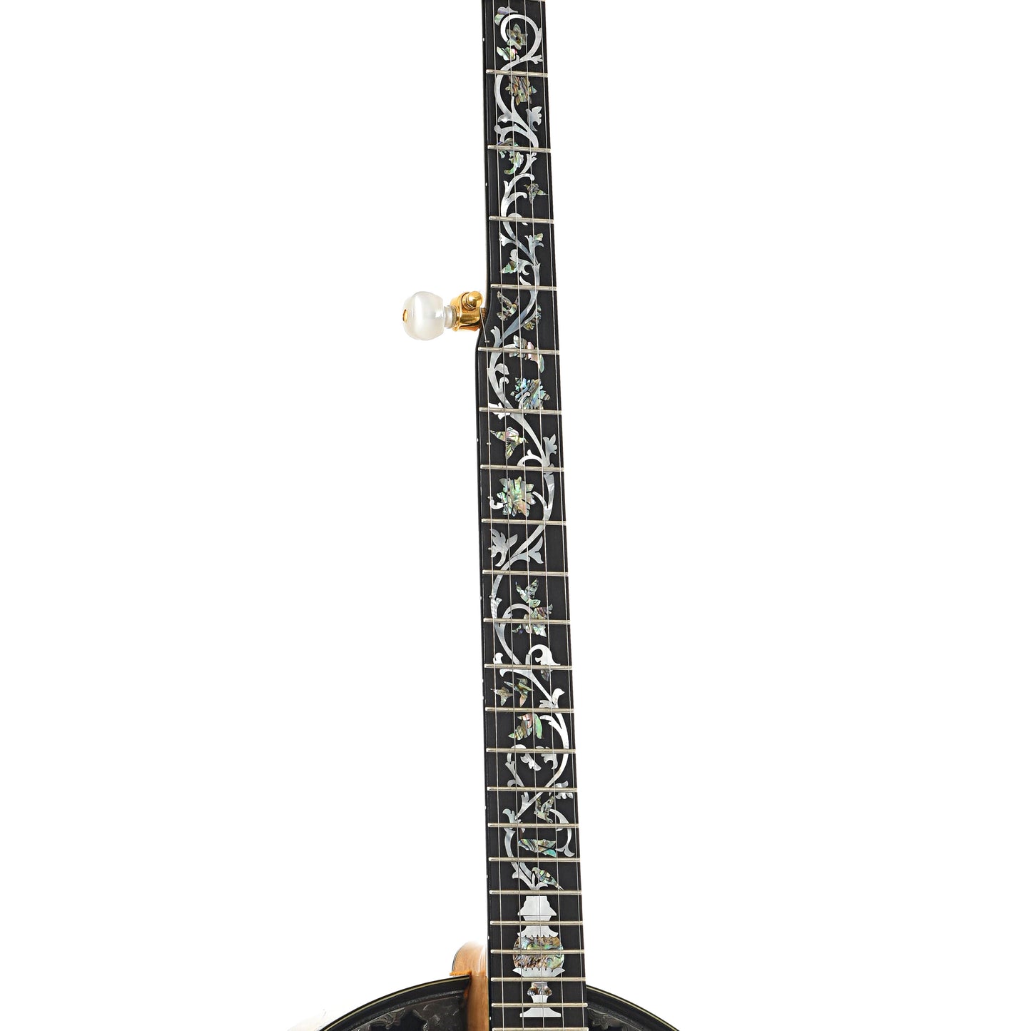 Fretboard of Stelling Tree of Life Resonator Banjo (2001)