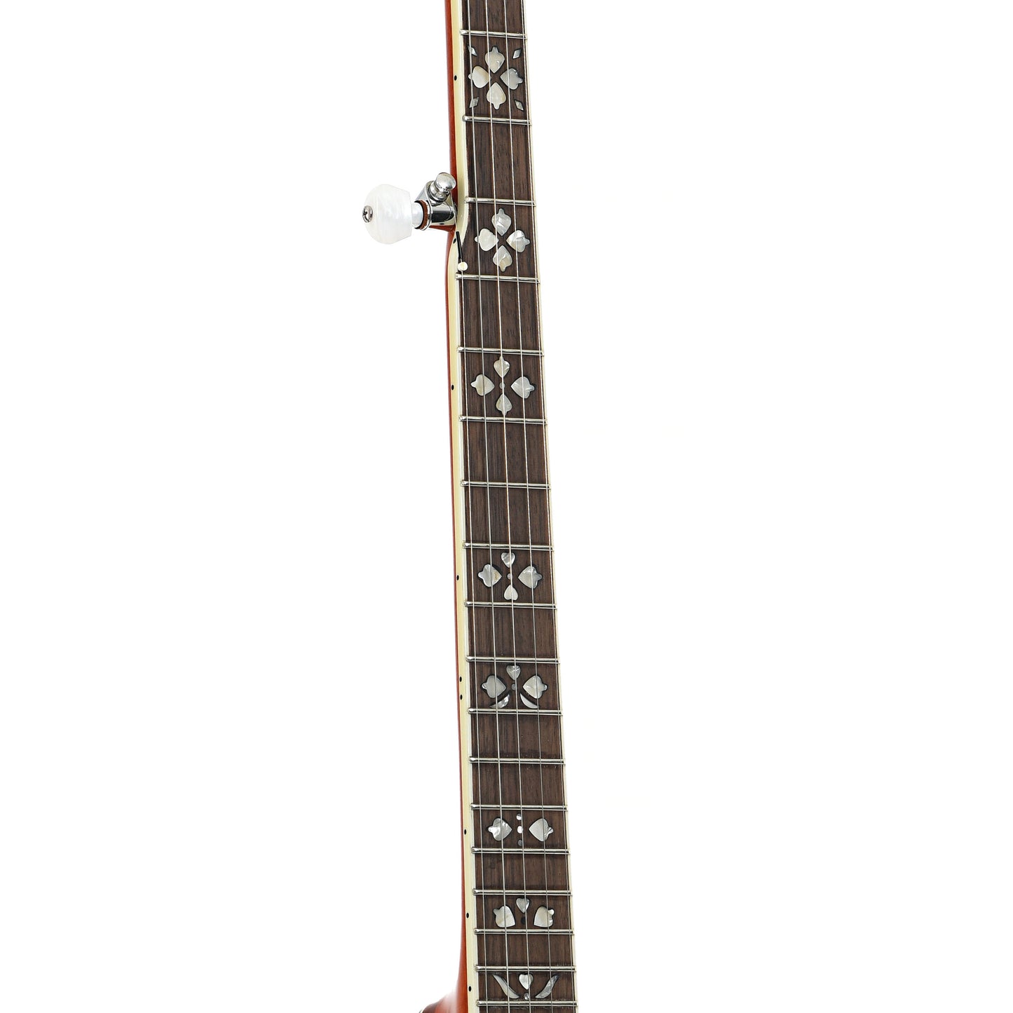 Fretboard of Recording King RK-R20 Songster Resonator