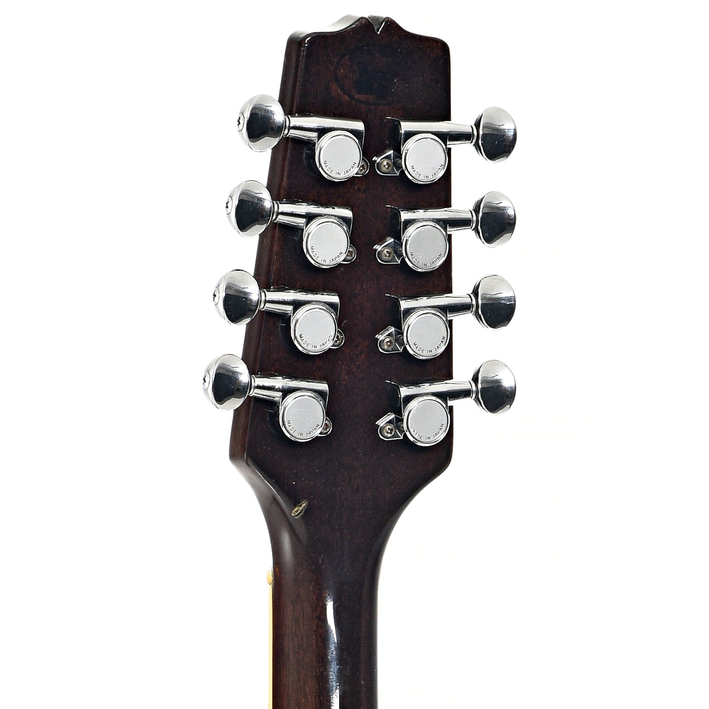 Back headstock of Trinity College TC-375 Bouzouki