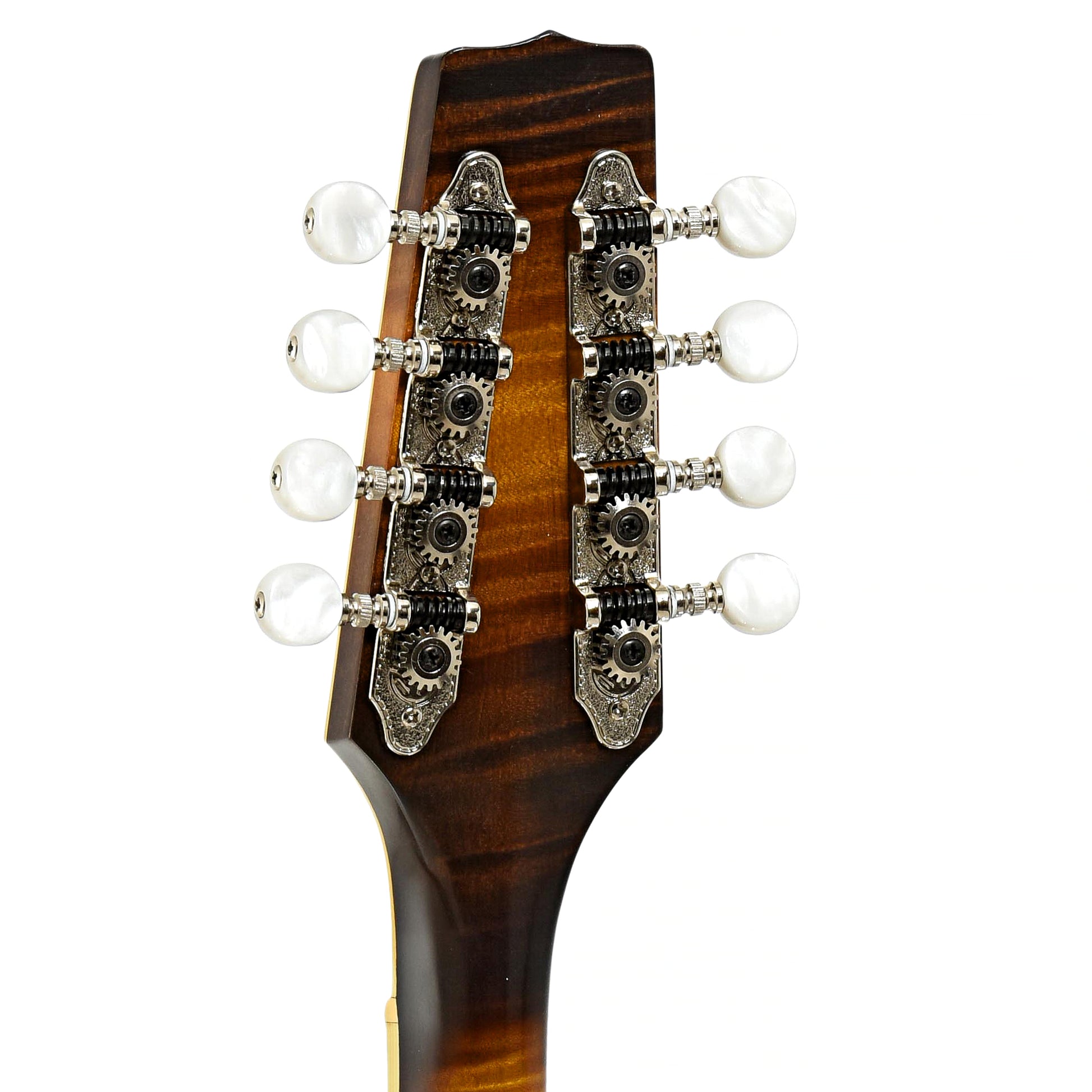 Tuners of Phoenix Bluegrass Model Mandolin