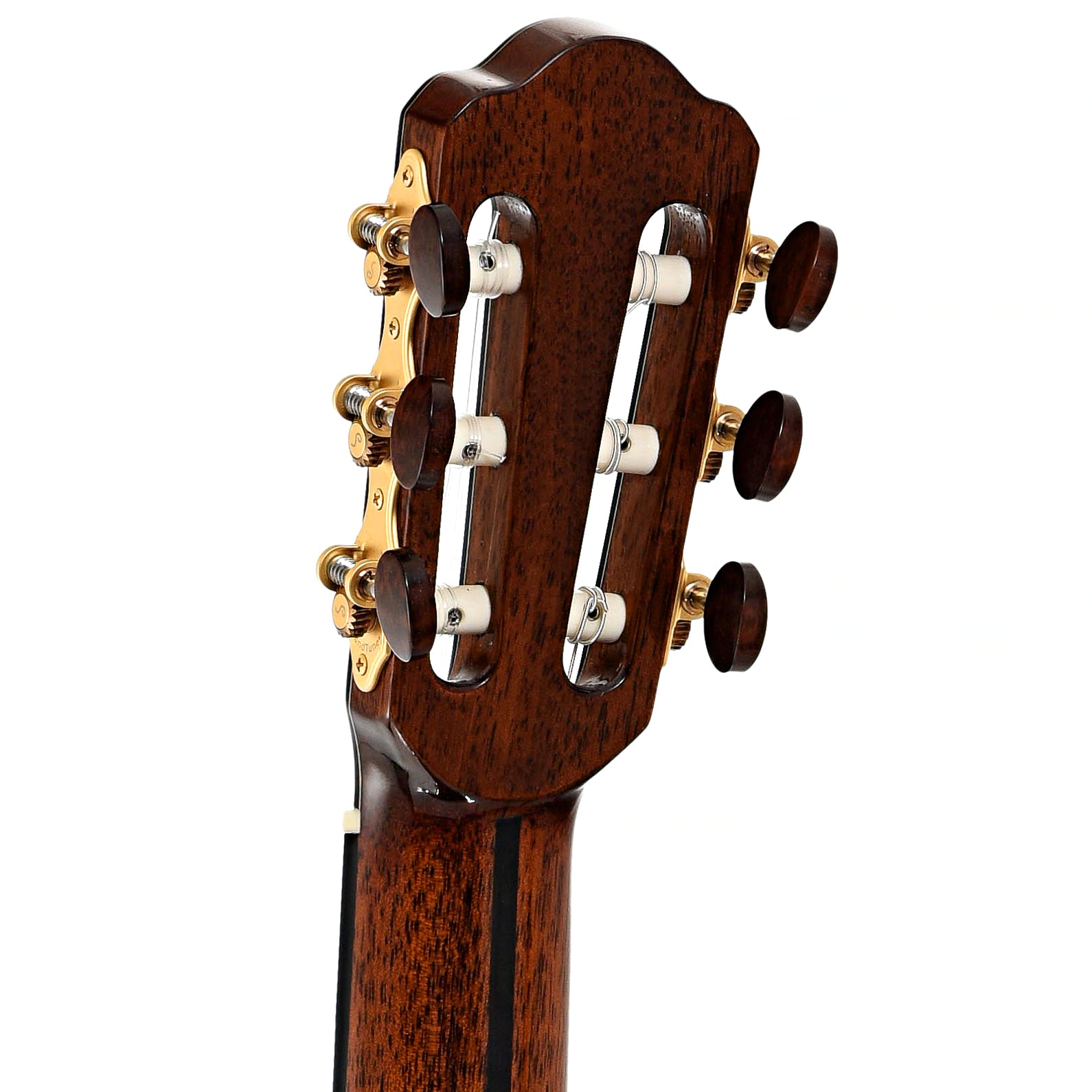 Back headstock of Eastman JB-Cabaret John Buscarino (2021)