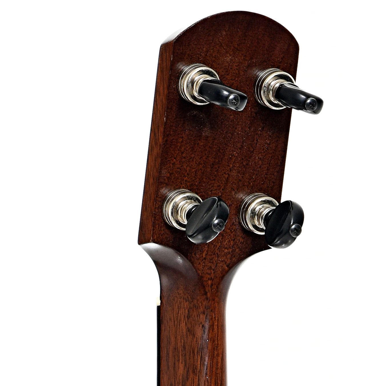 Back headstock of Enoch Dobson Model  Openback Banjo (2015)