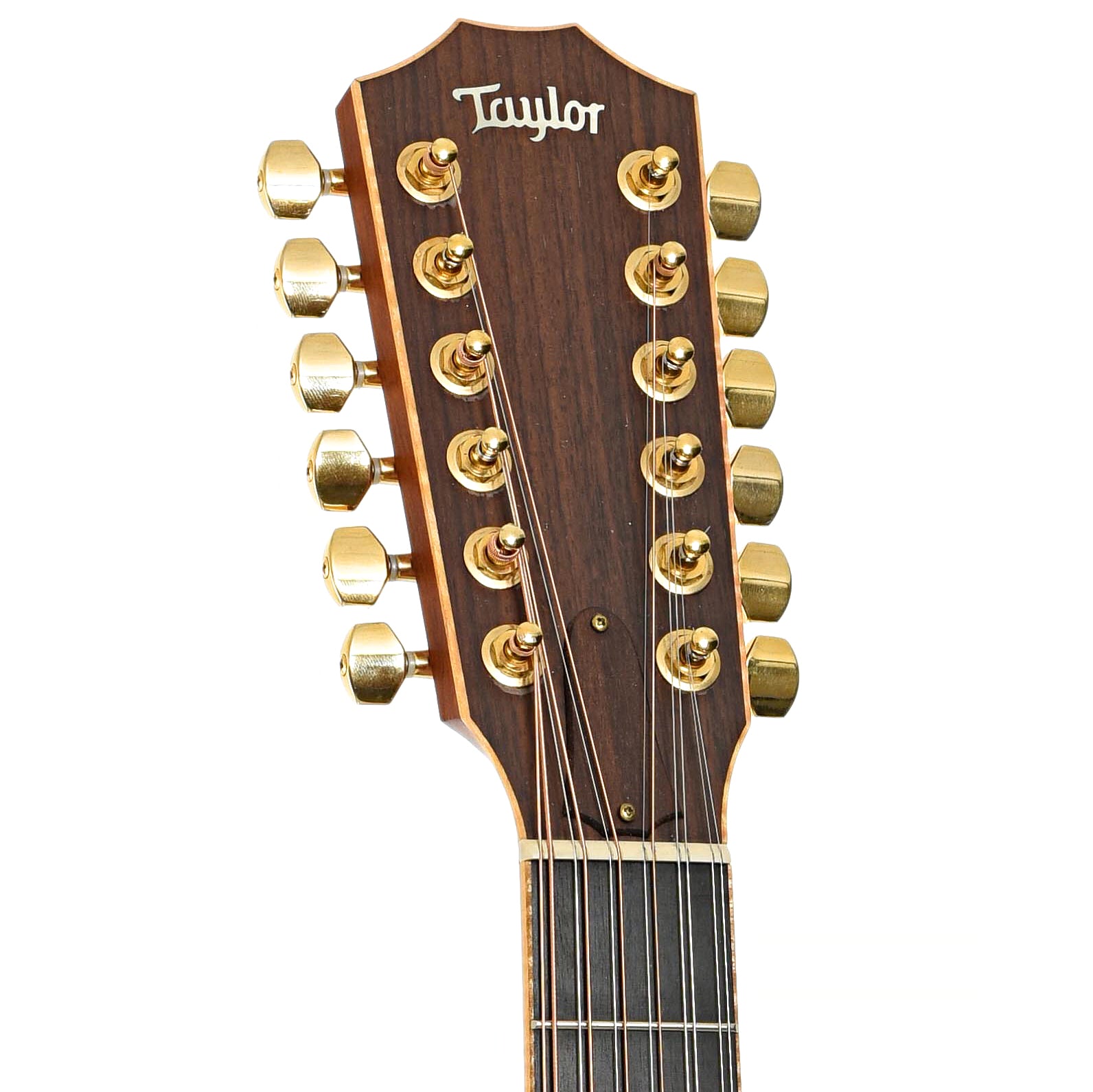 Front headstock of Taylor 856ce 12-String Acoustic Guitar (2010)