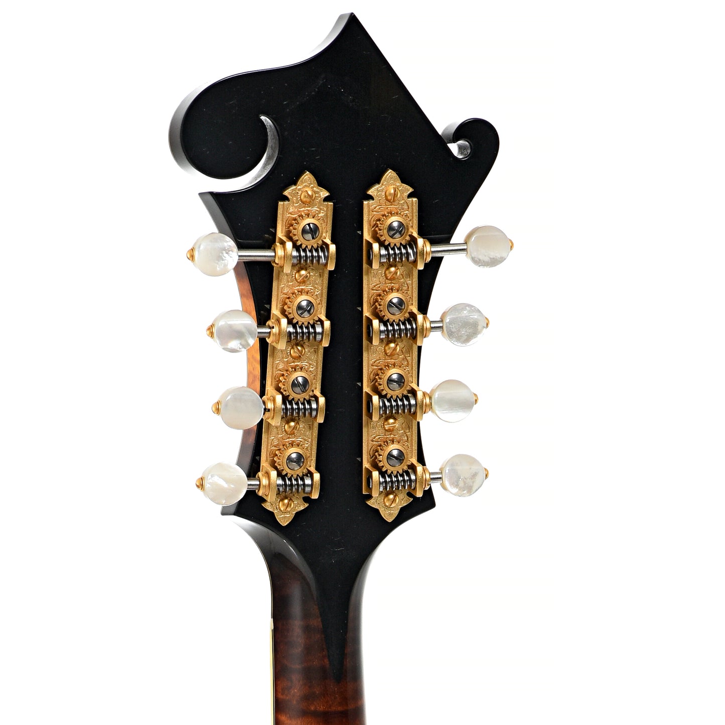 Back headstock of Ellis F-5 Reserve Mandolin (2016)