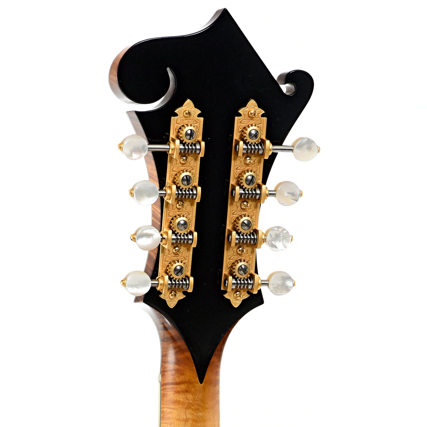 Back headstock of Poe PH-5 Mandola