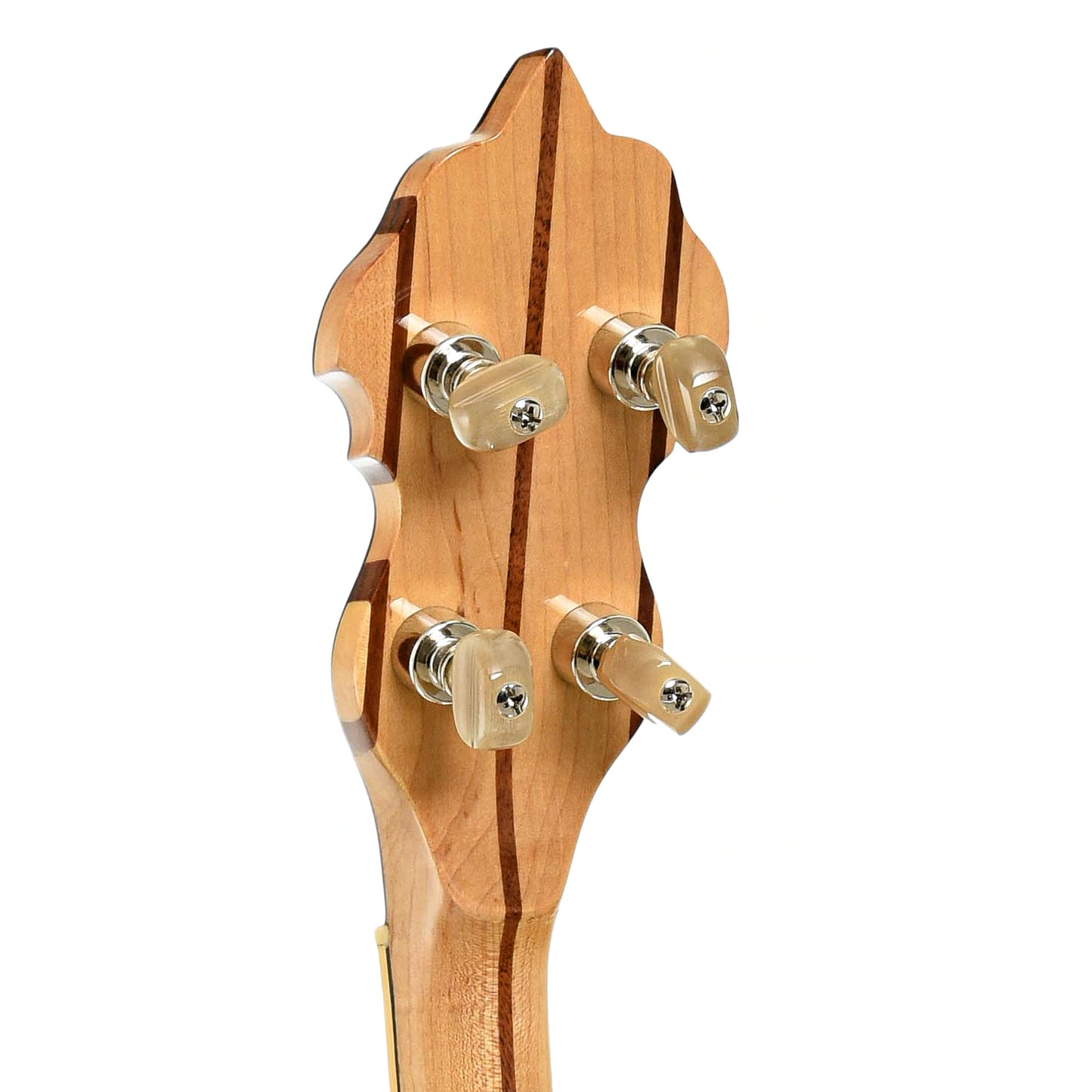 Tuners of McConnell Plectocaster Electric Plectrum Banjo