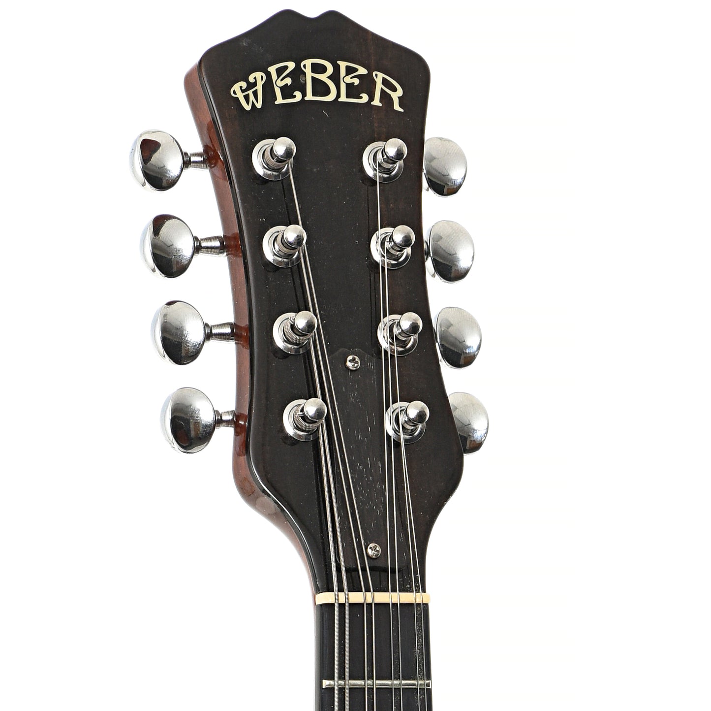 Front headstock of Weber Y2K A-Style Mandolin (2000)