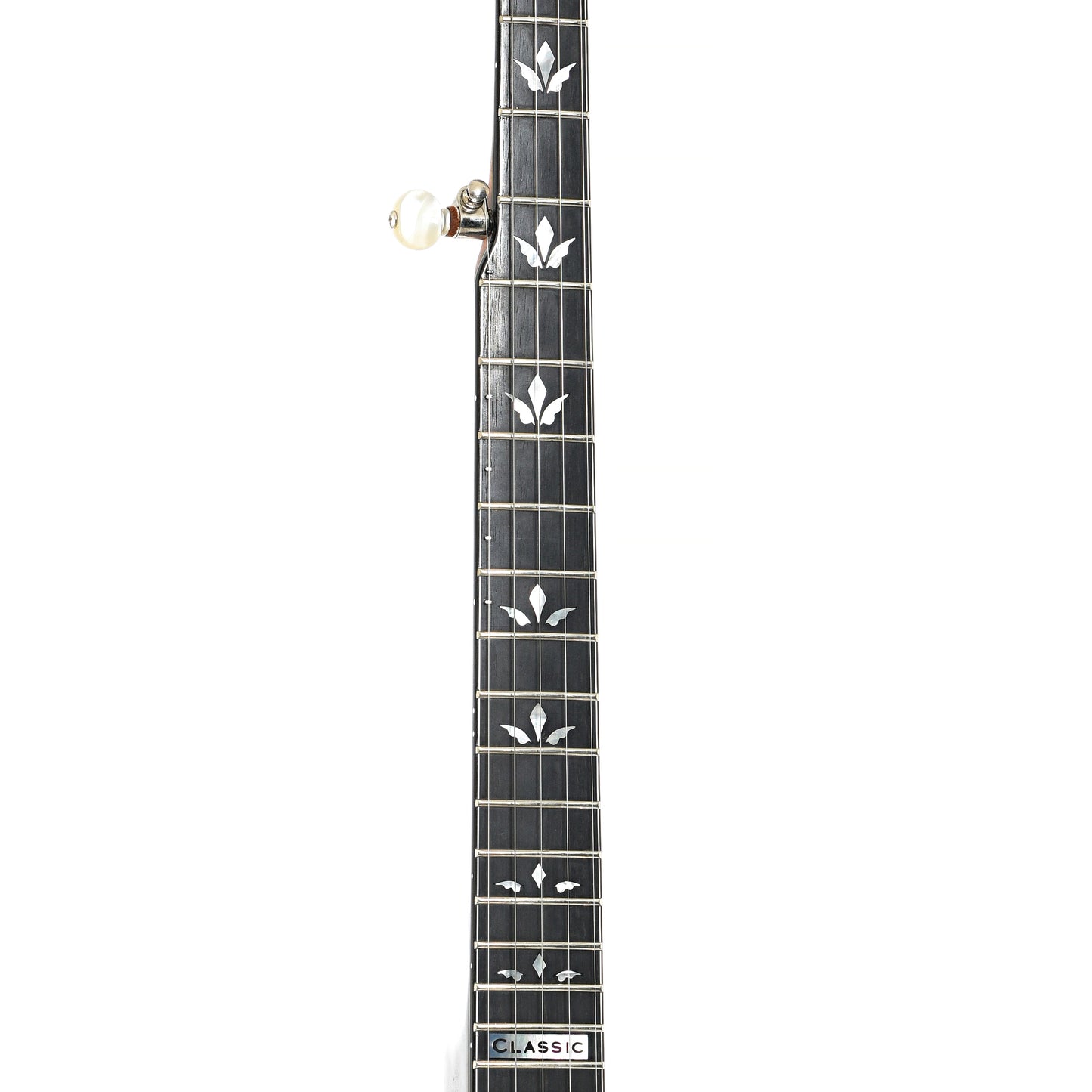 fretboard of Nechville Classic Deluxe Resonator Banjo (2019)