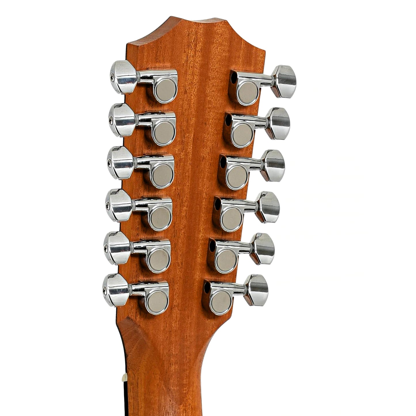 Tuners of Taylor 150e 12-String Guitar 